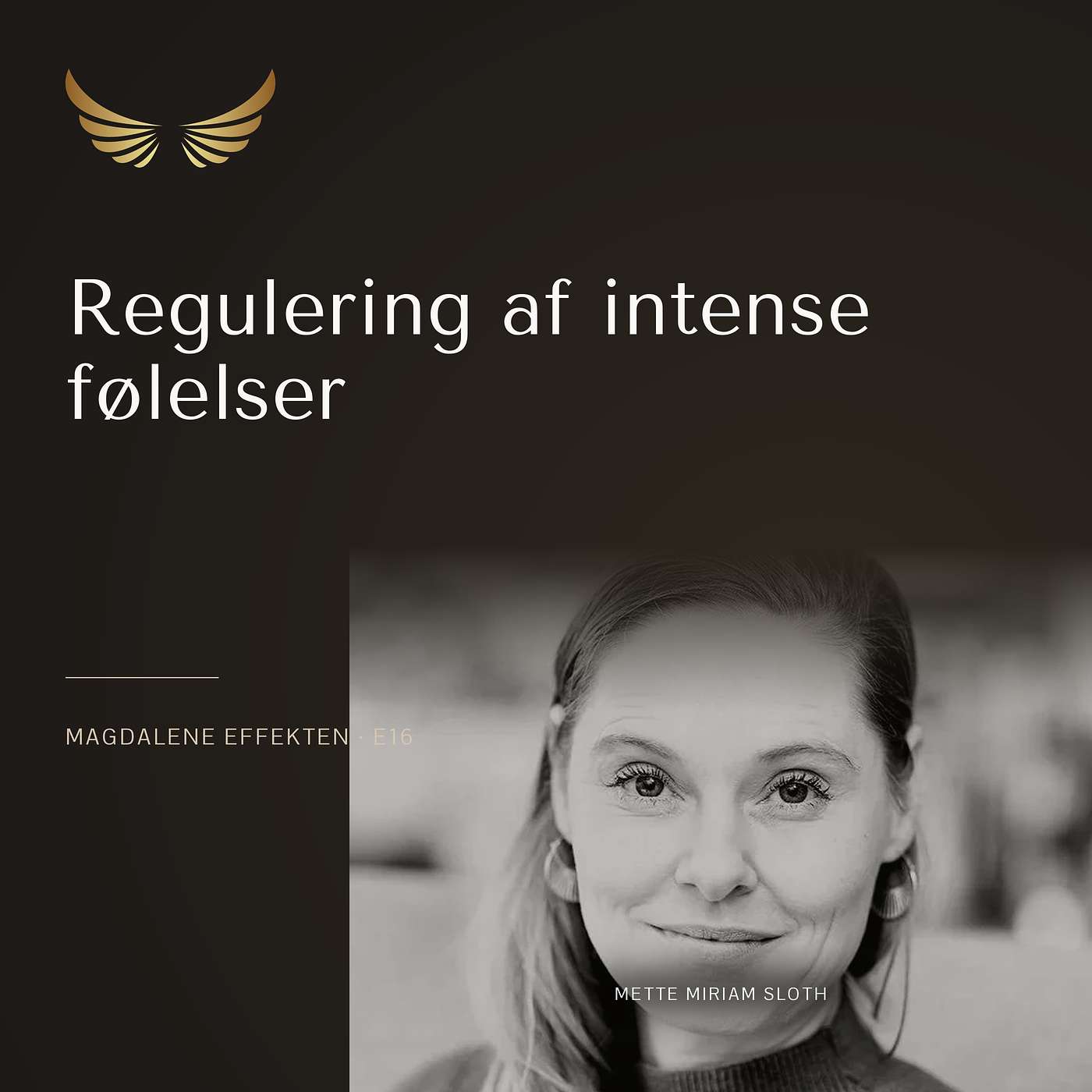E16: Regulering af intense følelser episode artwork