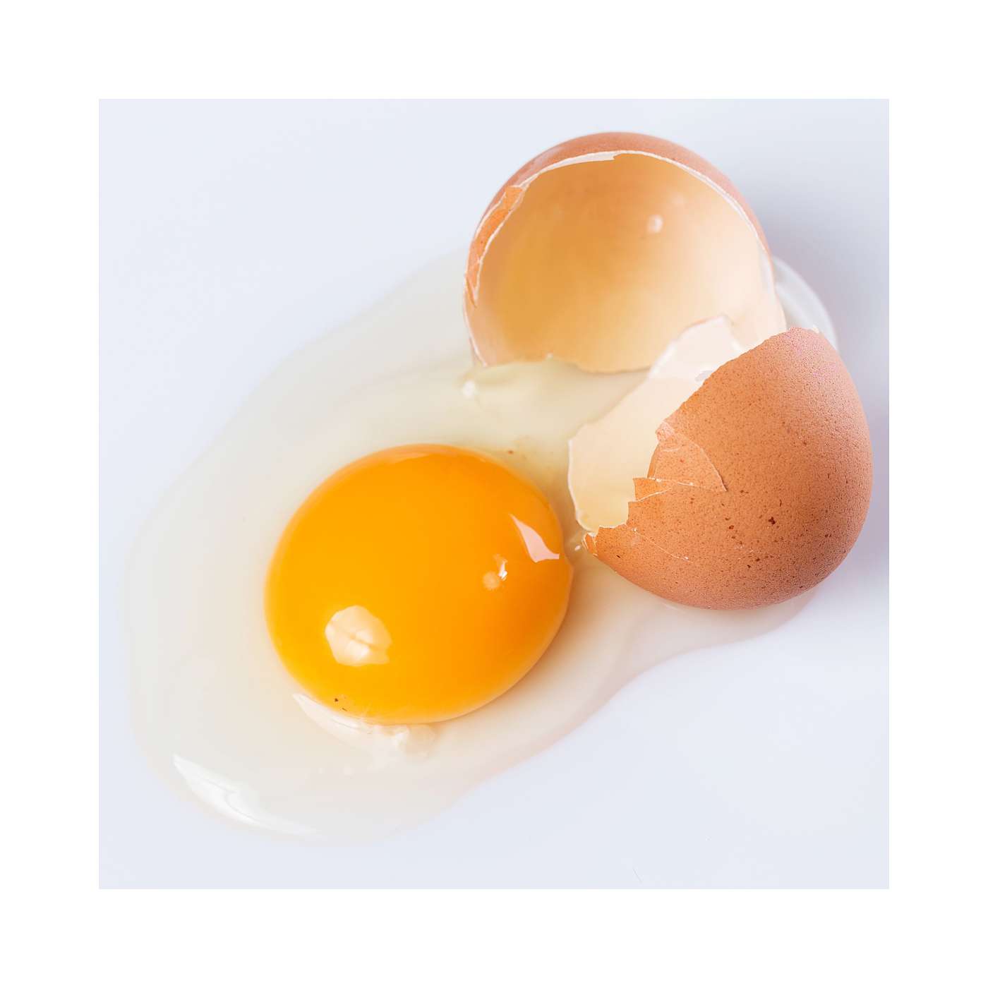 EGGS: Not scorpions. 