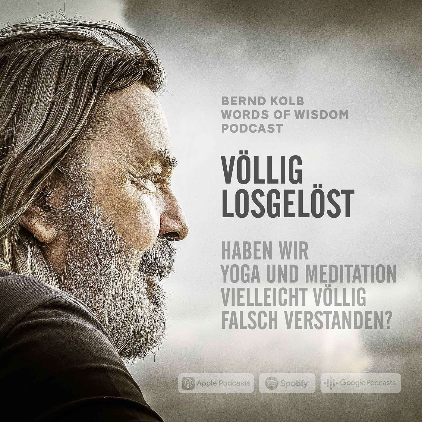 VÖLLIG LOSGELÖST - HABEN WIR VIELLEICHT ETWAS FALSCH VERSTANDEN? episode artwork