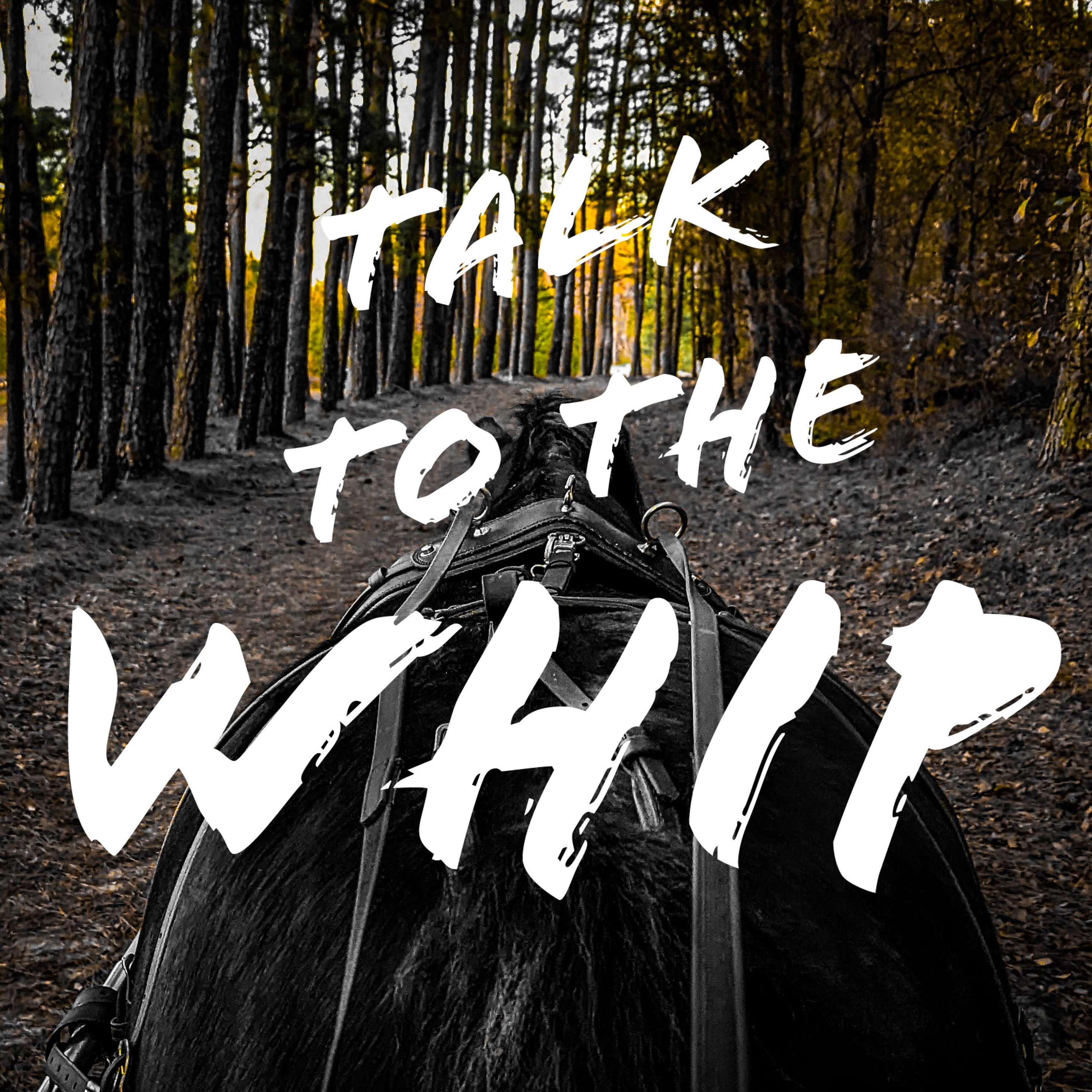 Talk To The Whip podcast artwork