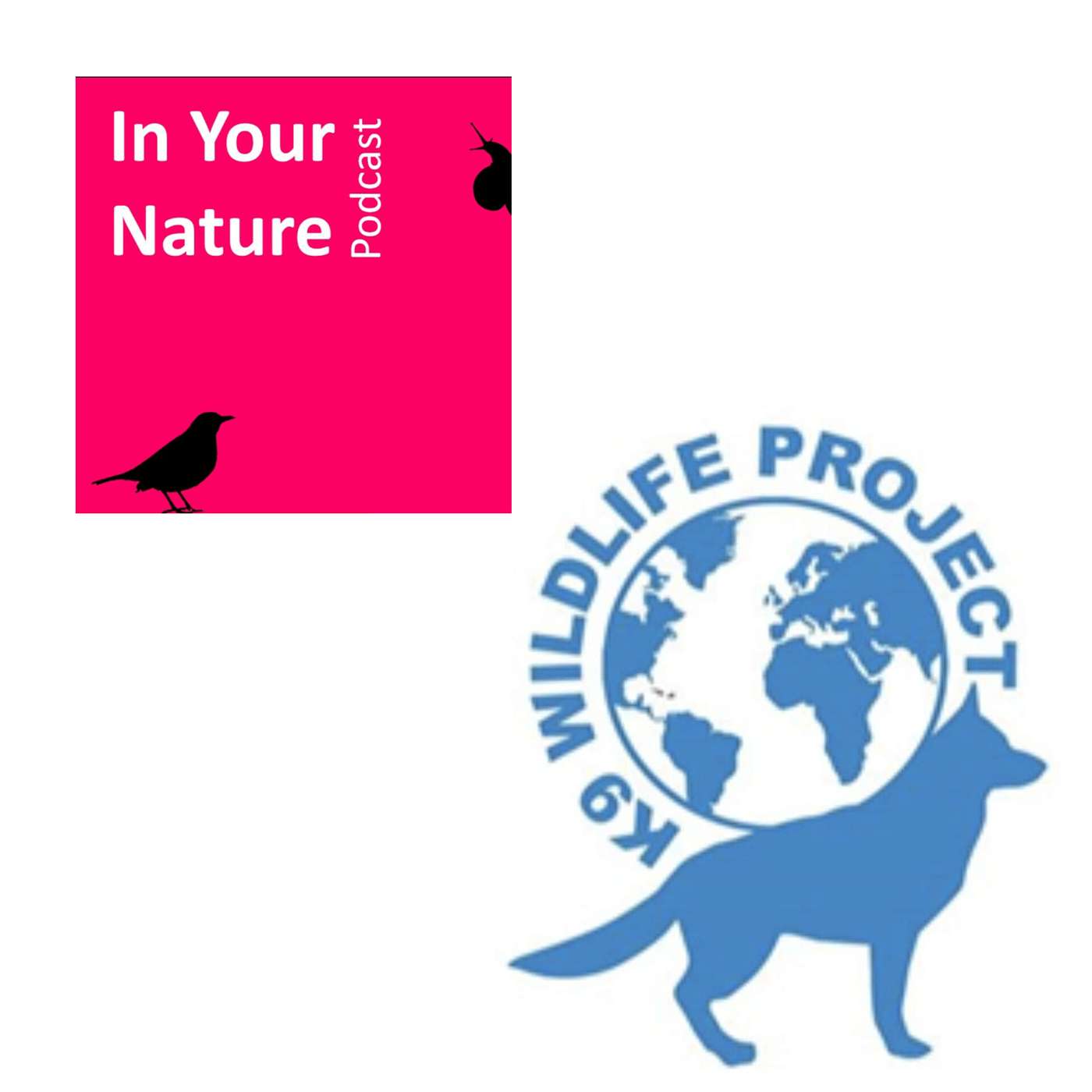 In Your Nature Ep 33 - Conservation Canines