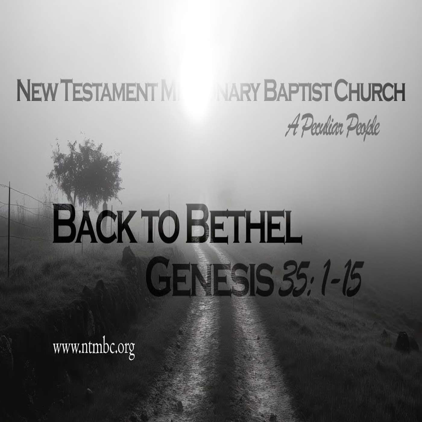 A Peculiar People: Back to Bethel, Genesis 35:1-15 (Audio)