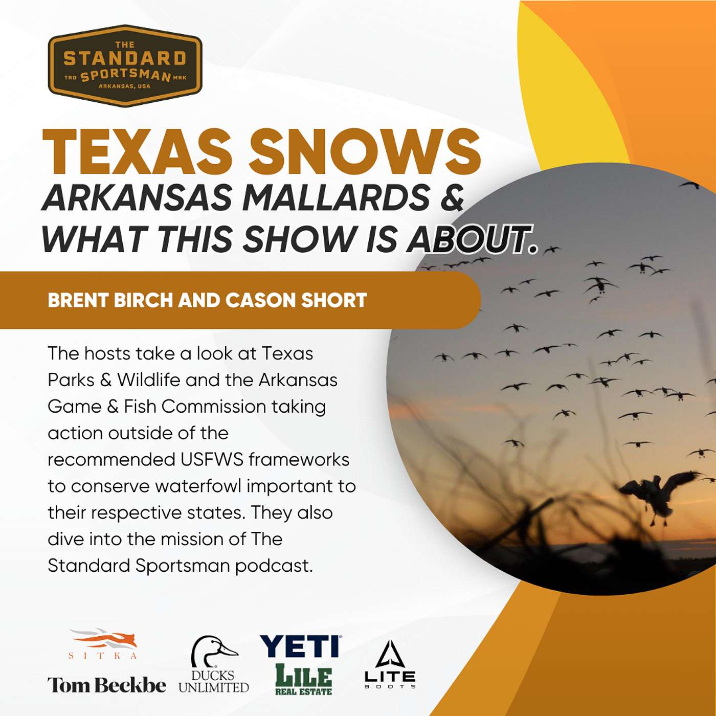 Texas Snows, Arkansas Mallards and What This Show is About