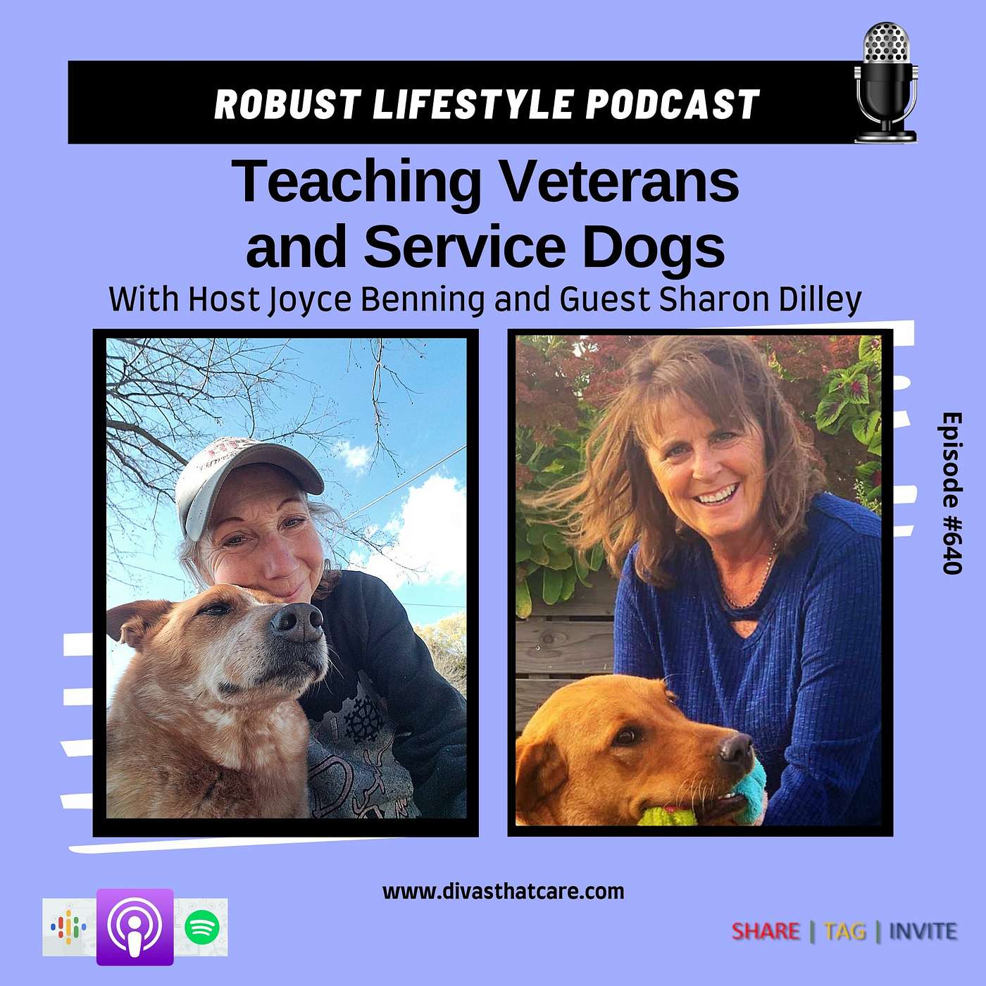 Teaching Veterans and Service Dogs episode artwork