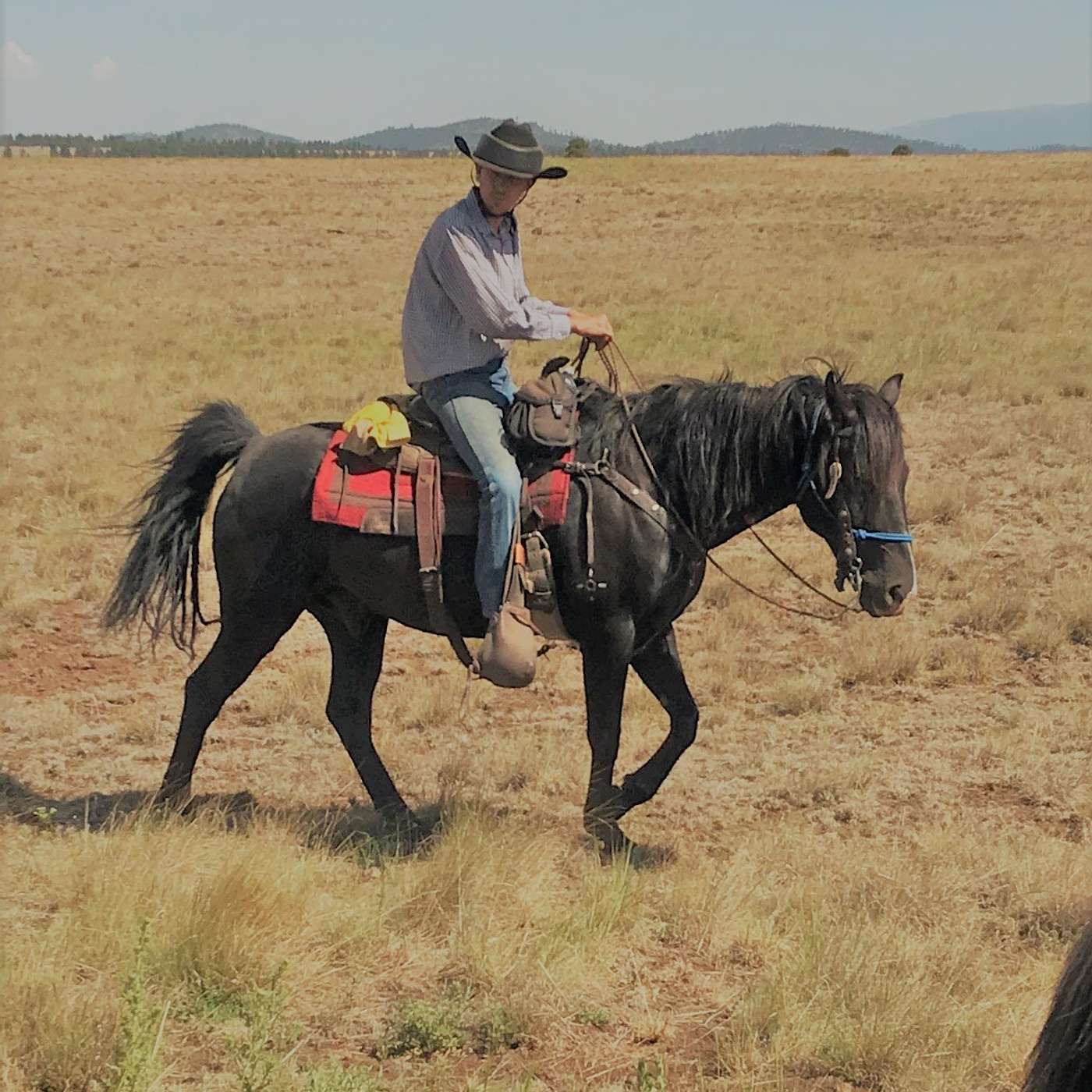 N BAR RANCH - RESERVE, NEW MEXICO episode artwork