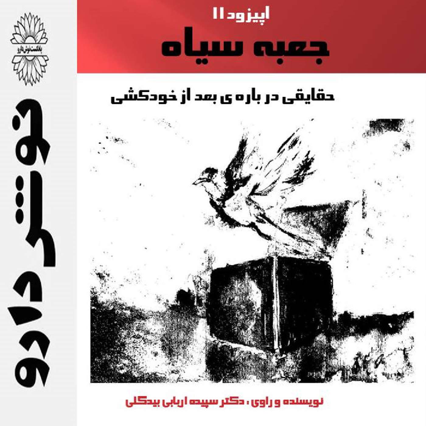 جعبه سیاه :حقایقی درباره ی بعداز خودکشی episode artwork