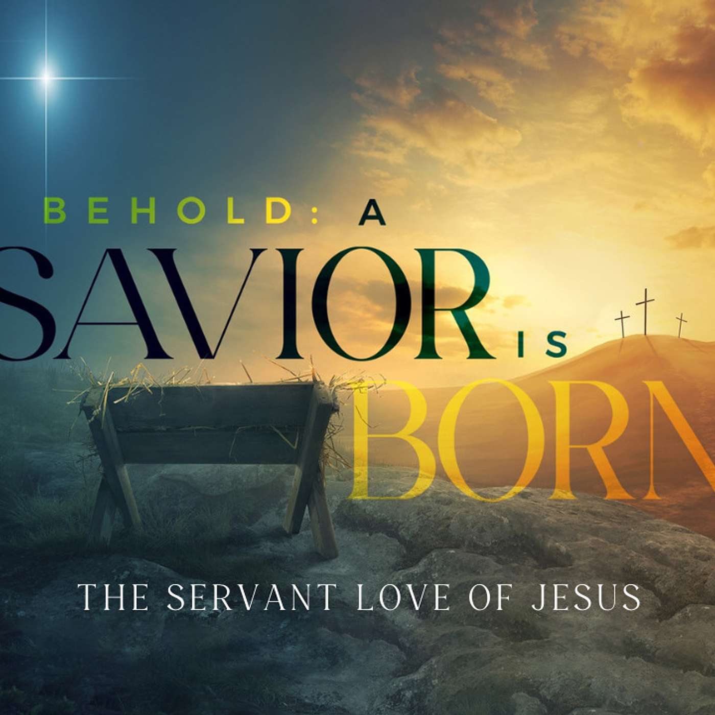 Behold: A Savior Is Born, The Servant Love Of Jesus