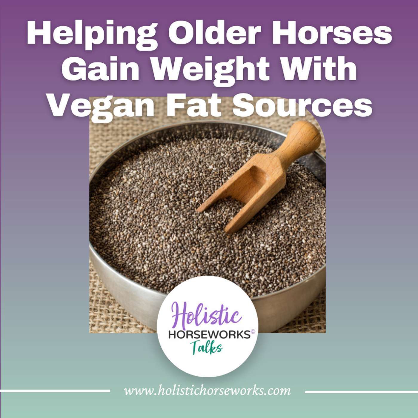 Holistic Horseworks Talks with April Love - Help Older Horses Gain Weight With Vegan Fat Sources