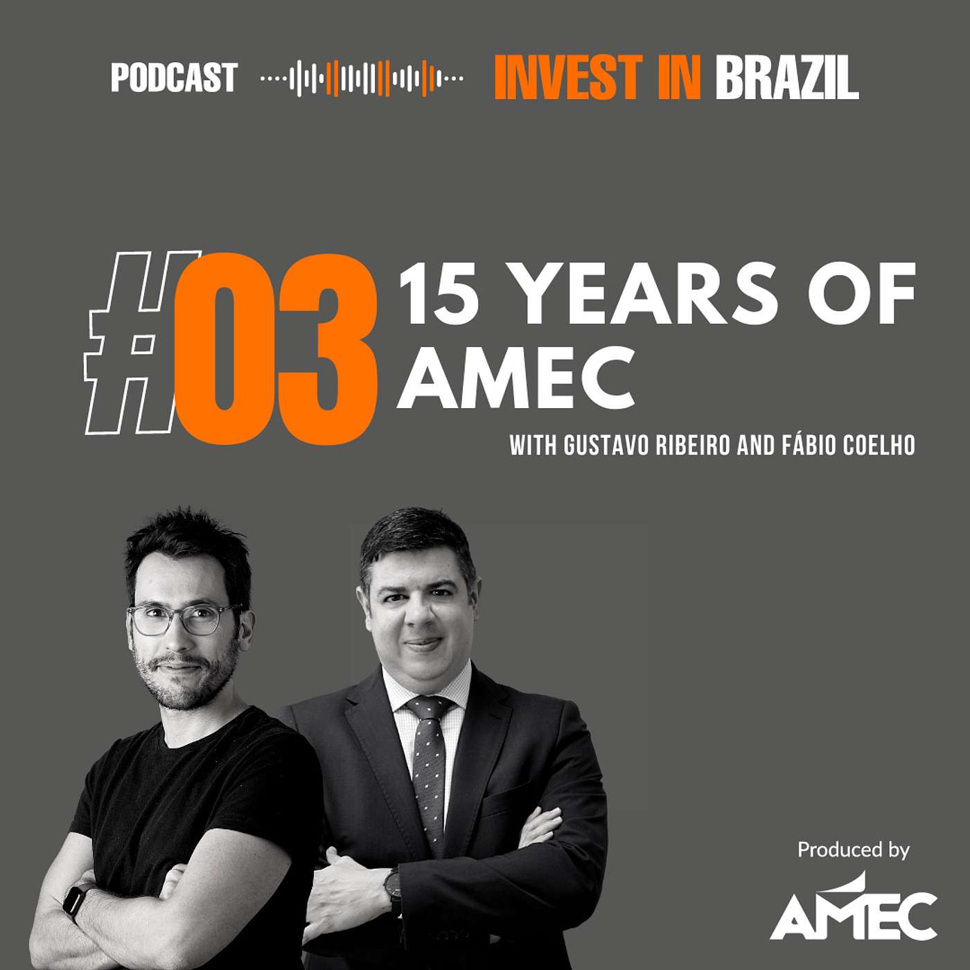 Amec: 15 years of history