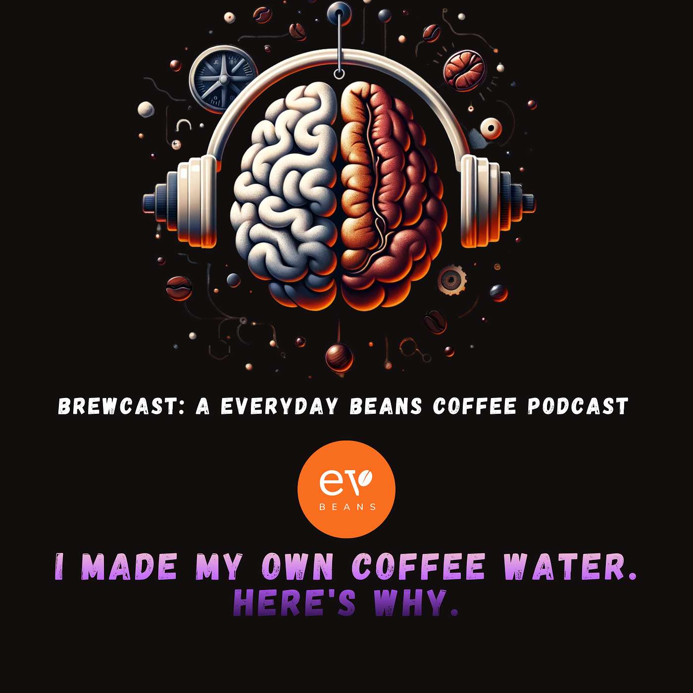 I Made My Own Coffee Water. Here's Why. episode artwork
