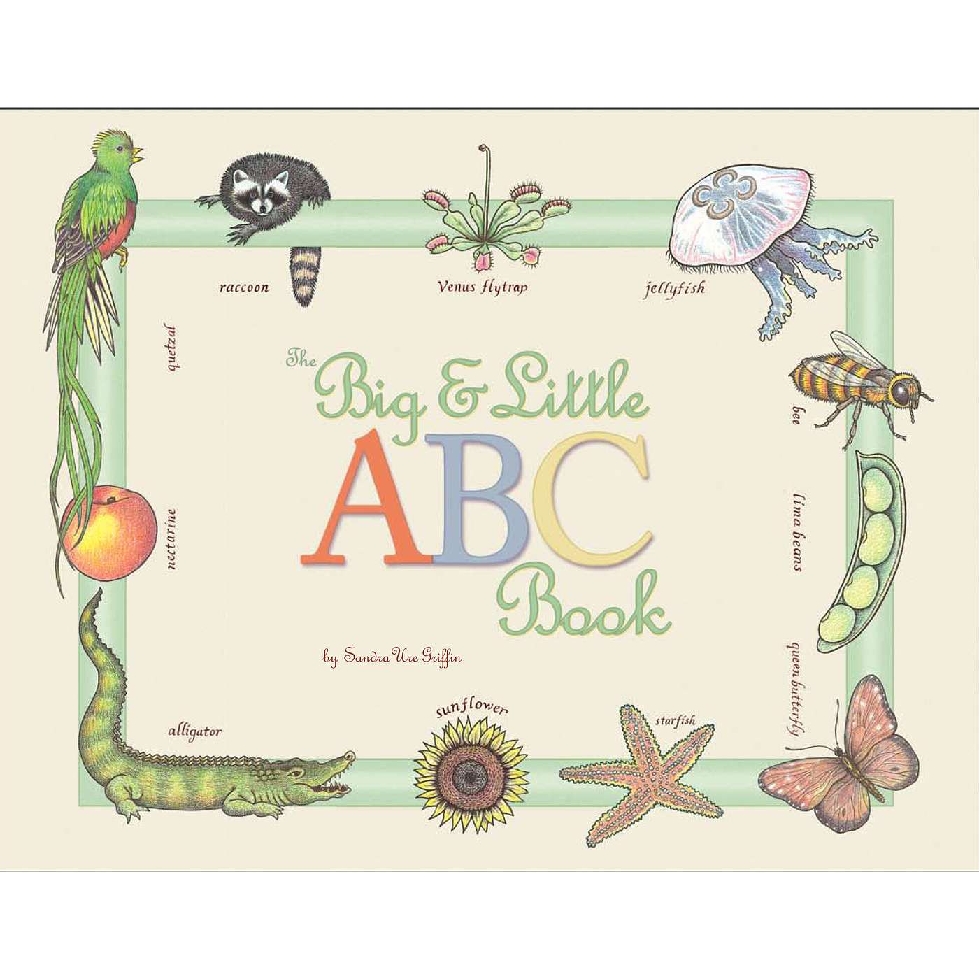 Episode 5: The Big & Little ABC by Sandra Ure Griffin (Picture Book)/Narrated by Erin Paxton episode artwork