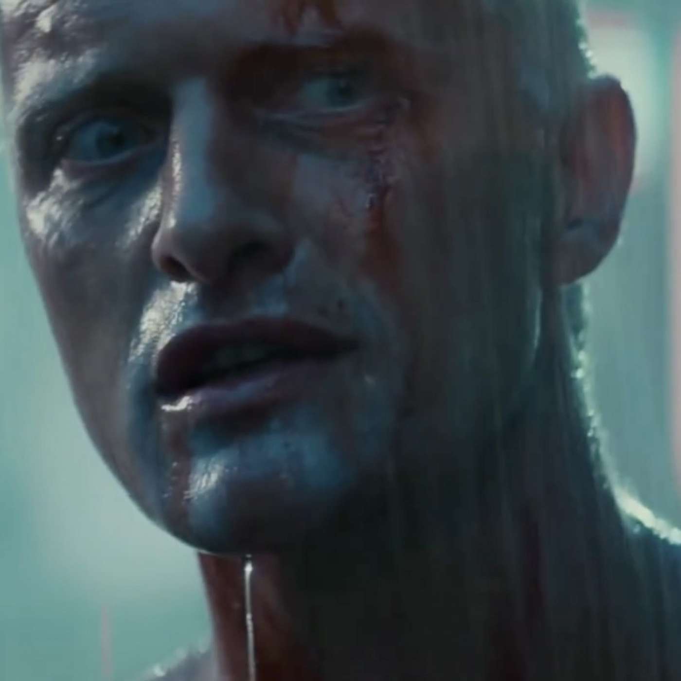 "If You Could Only See What I've Seen With Your Eyes" Blade Runner