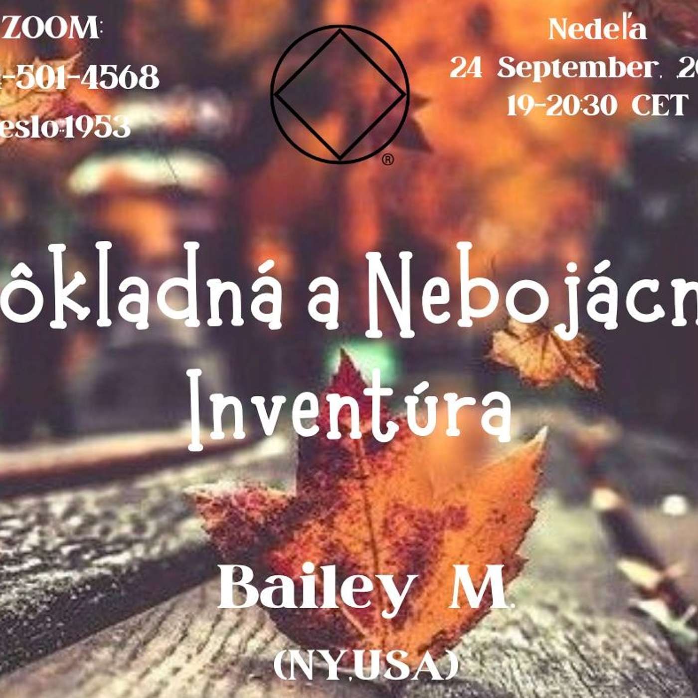 Dôkladná a nebojácna inventúra (Bailey M. NY USA) episode artwork