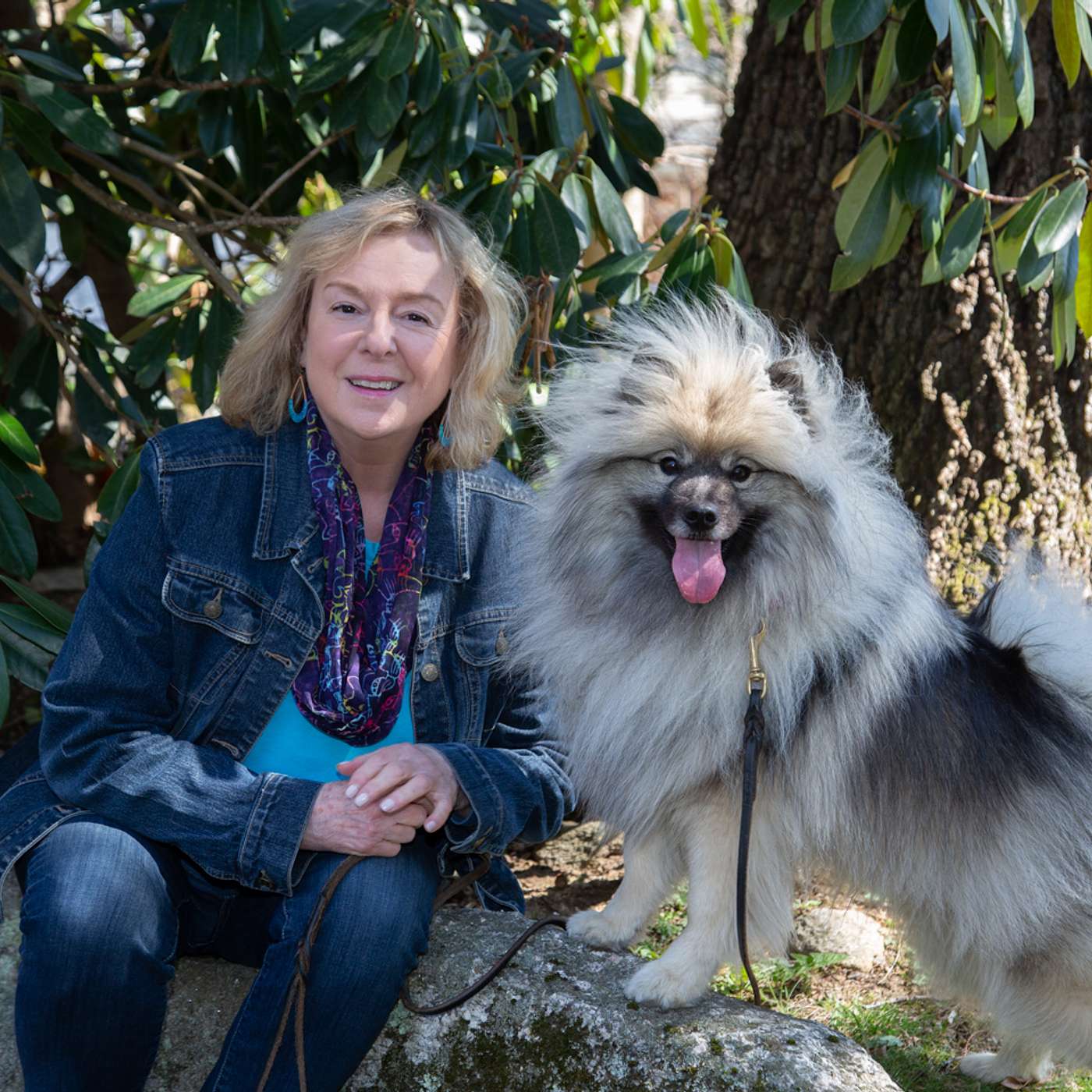 Conquering Fear: A Guide to Overcoming a Phobia of Dogs