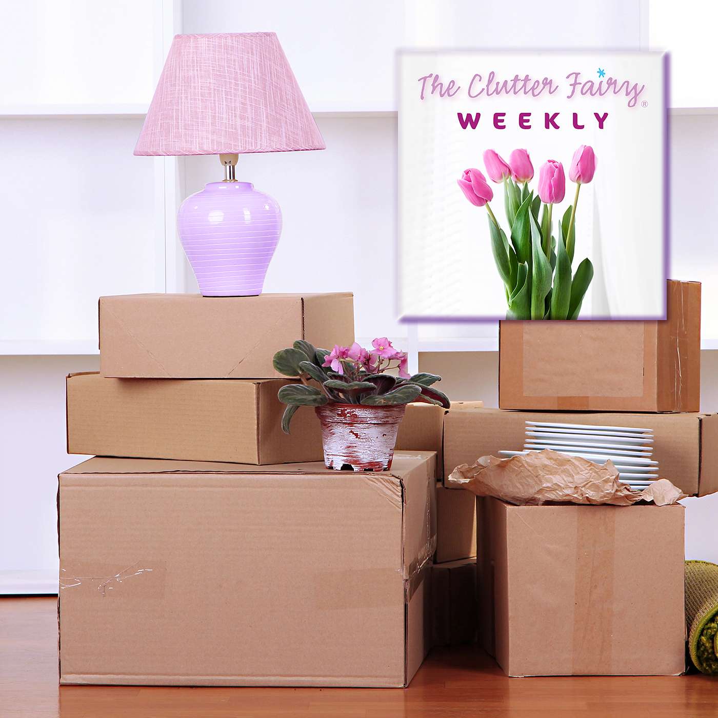 The Clutter Fairy Weekly