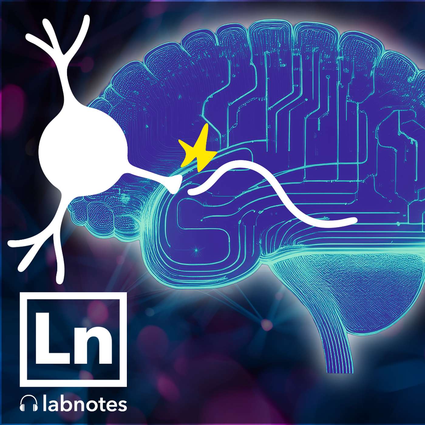 Lab Notes | The neuroscience of addiction and possible paths to a cure