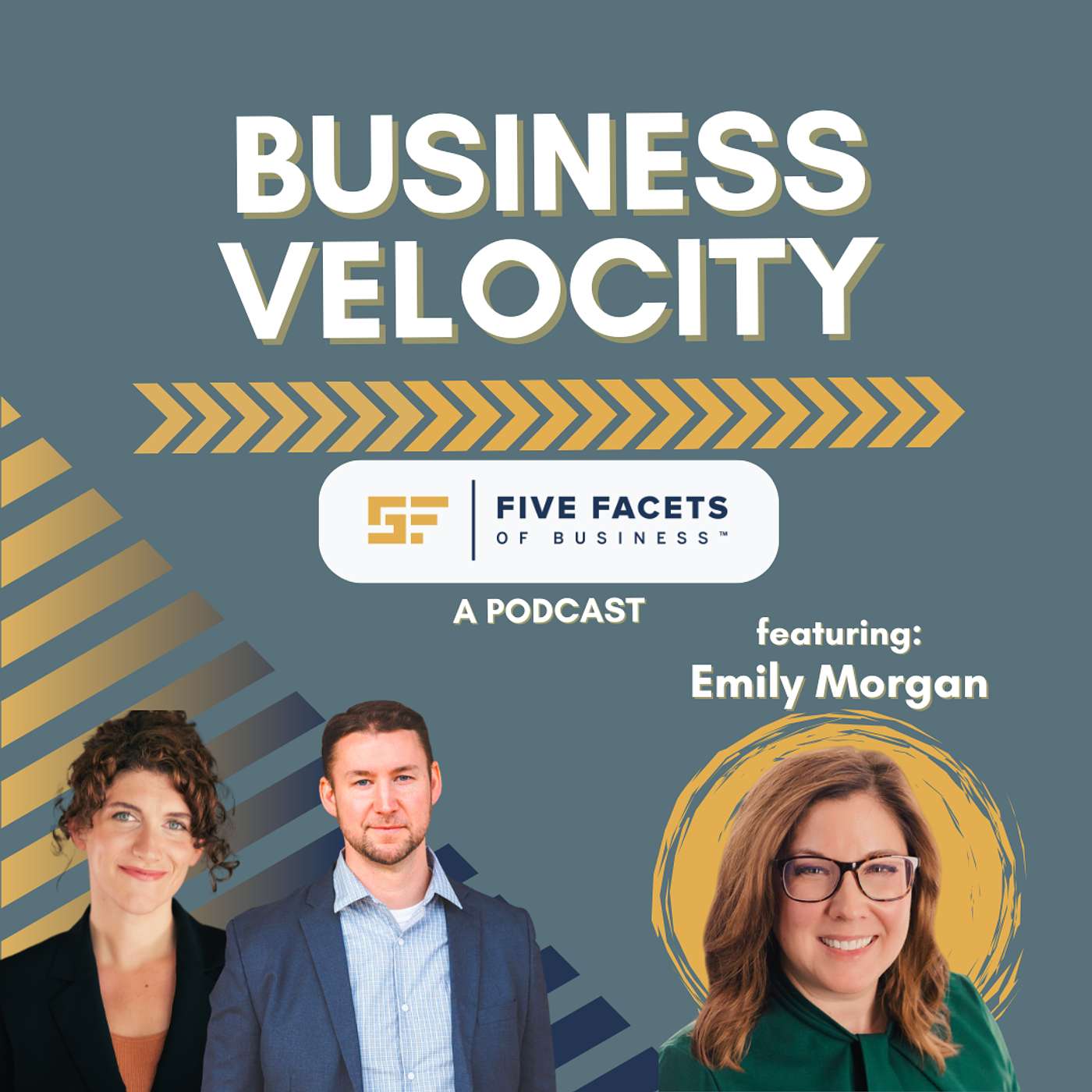 Business Velocity - The Five Facets of Business™ Podcast