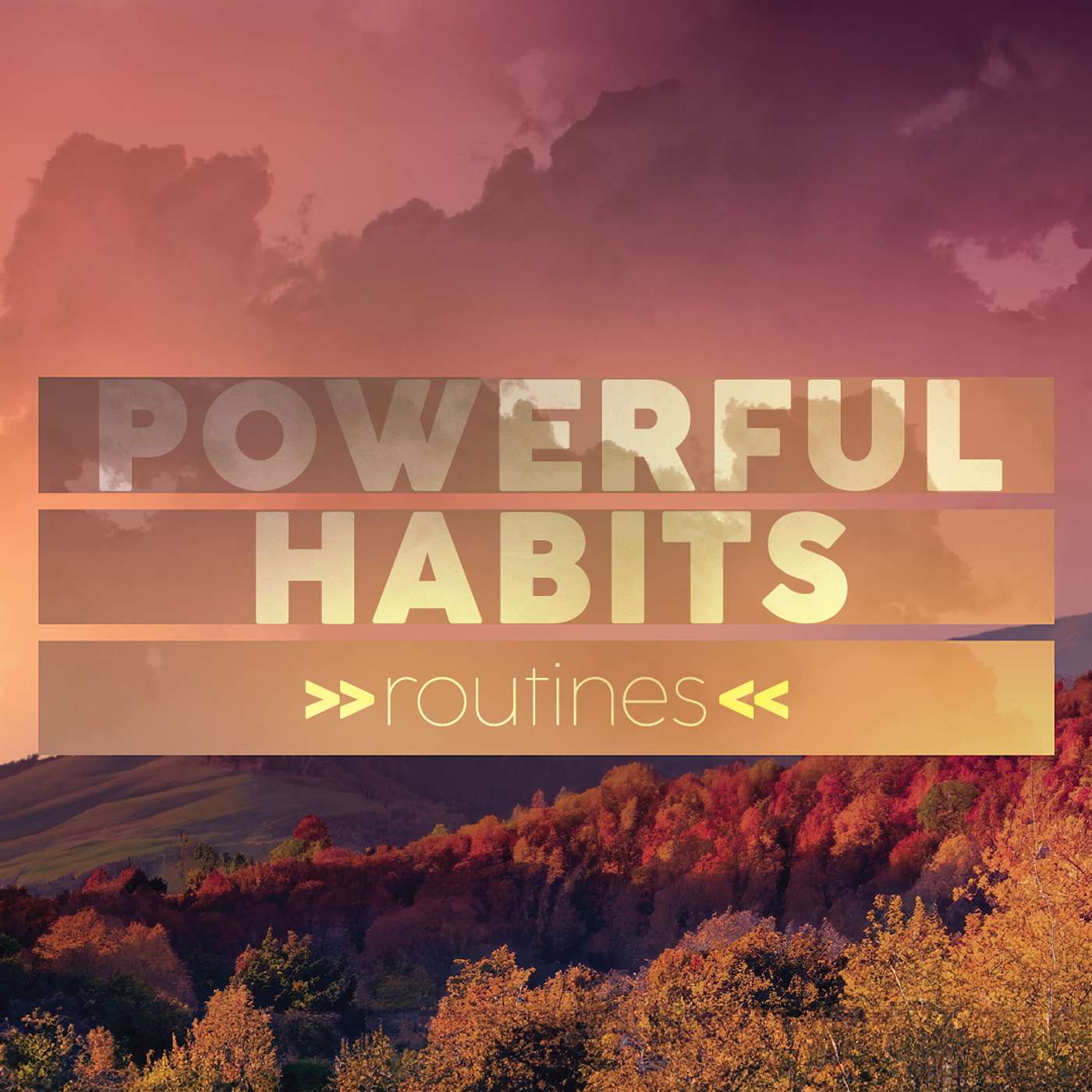 The Sanctuary Lutheran Church