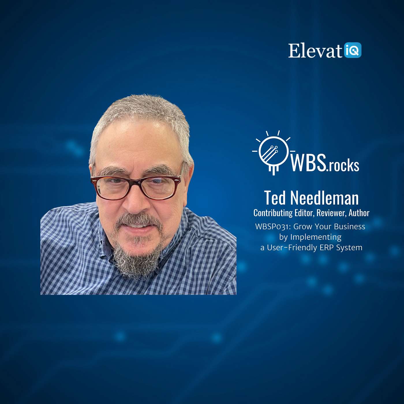 WBSP031: Grow Your Business by Implementing a User-Friendly ERP System w/ Ted Needleman