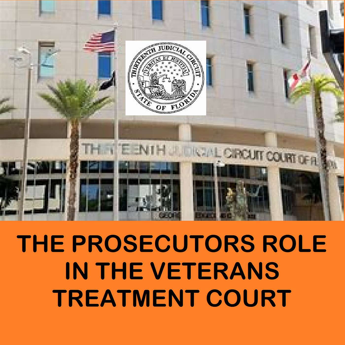 Veterans Treatment Court and the Posicutors role. Rebuilding Lives instead of filling jail cells. Hear from Susan Lopez, Florida 13th District States Attorney.