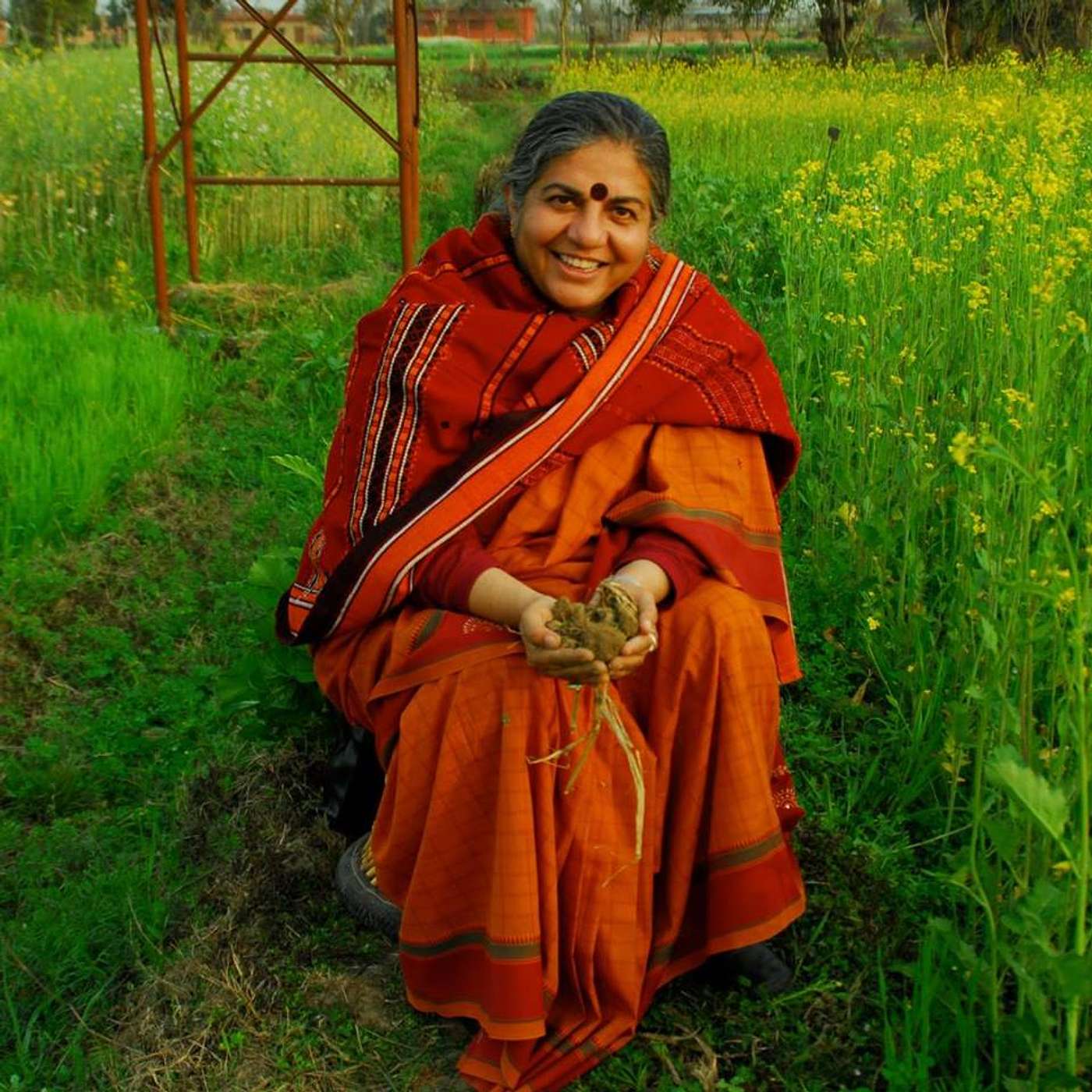 The Wisdom Tradition | a philosophy podcast