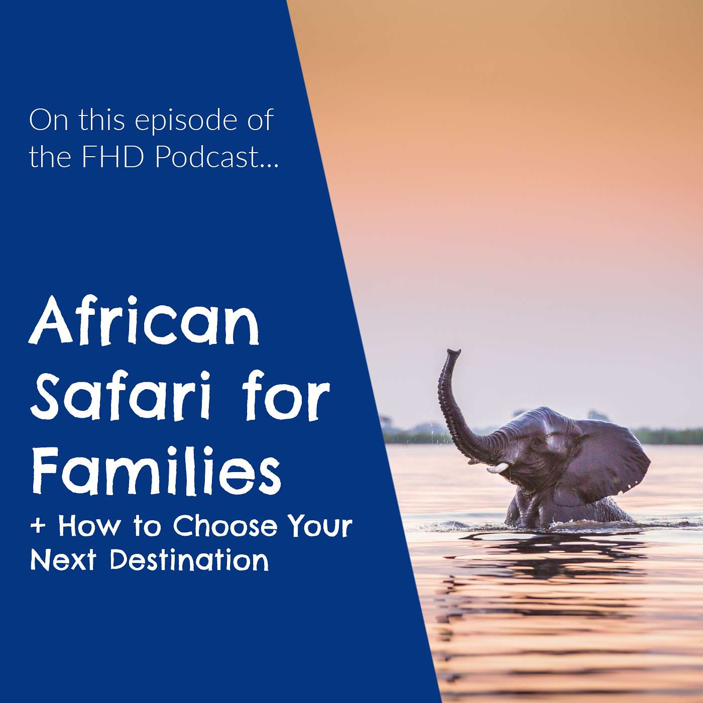 African Safari for Families + How to Choose Your Next Destination African Safari for Families + How to Choose Your Next Destination