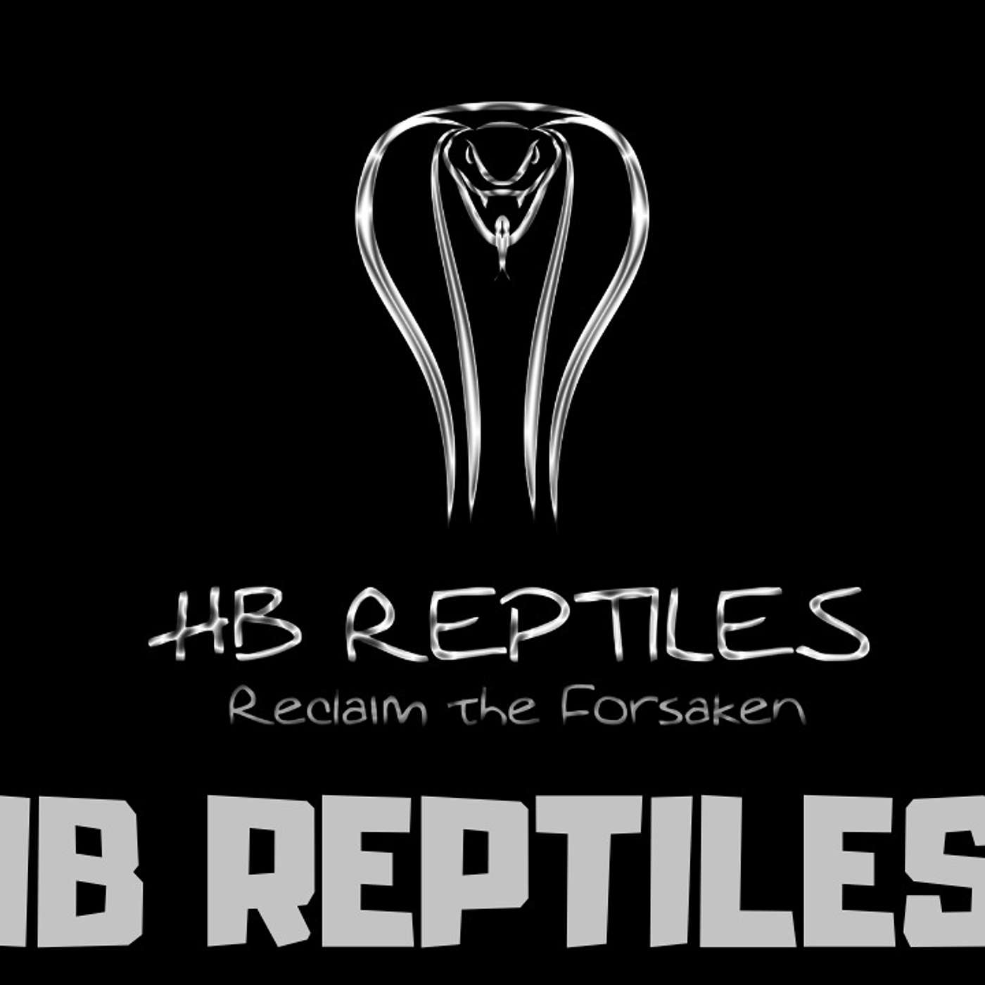 #206 HERBERT BONILLA OF HB REPTILES | BALL PYTHON BREEDER | NEW BREEDER ON THE BLOCK | TRAP TALK