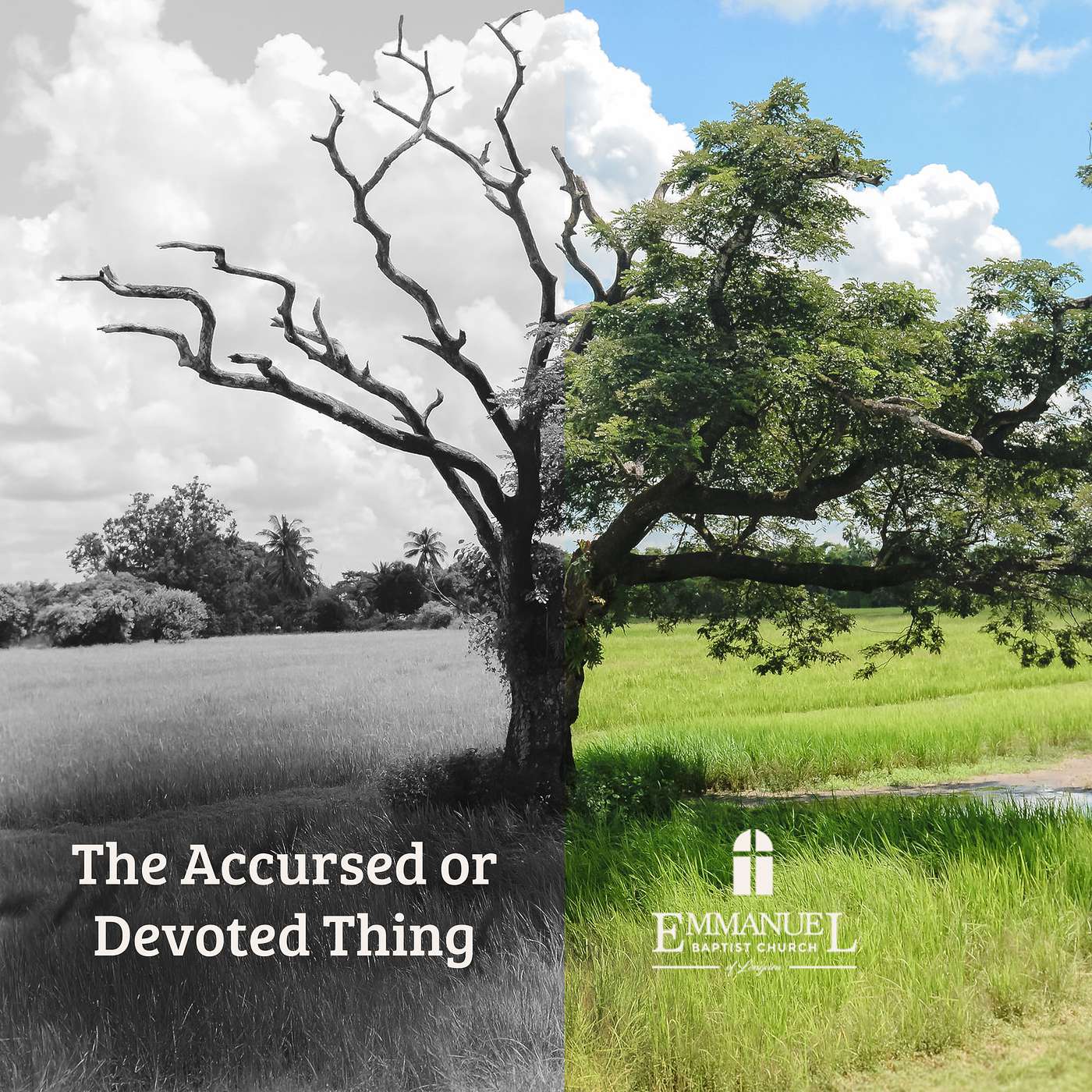 The Accursed Or The Devoted Thing - Sun PM 11/22/20 - Pastor Bob Gray II episode artwork
