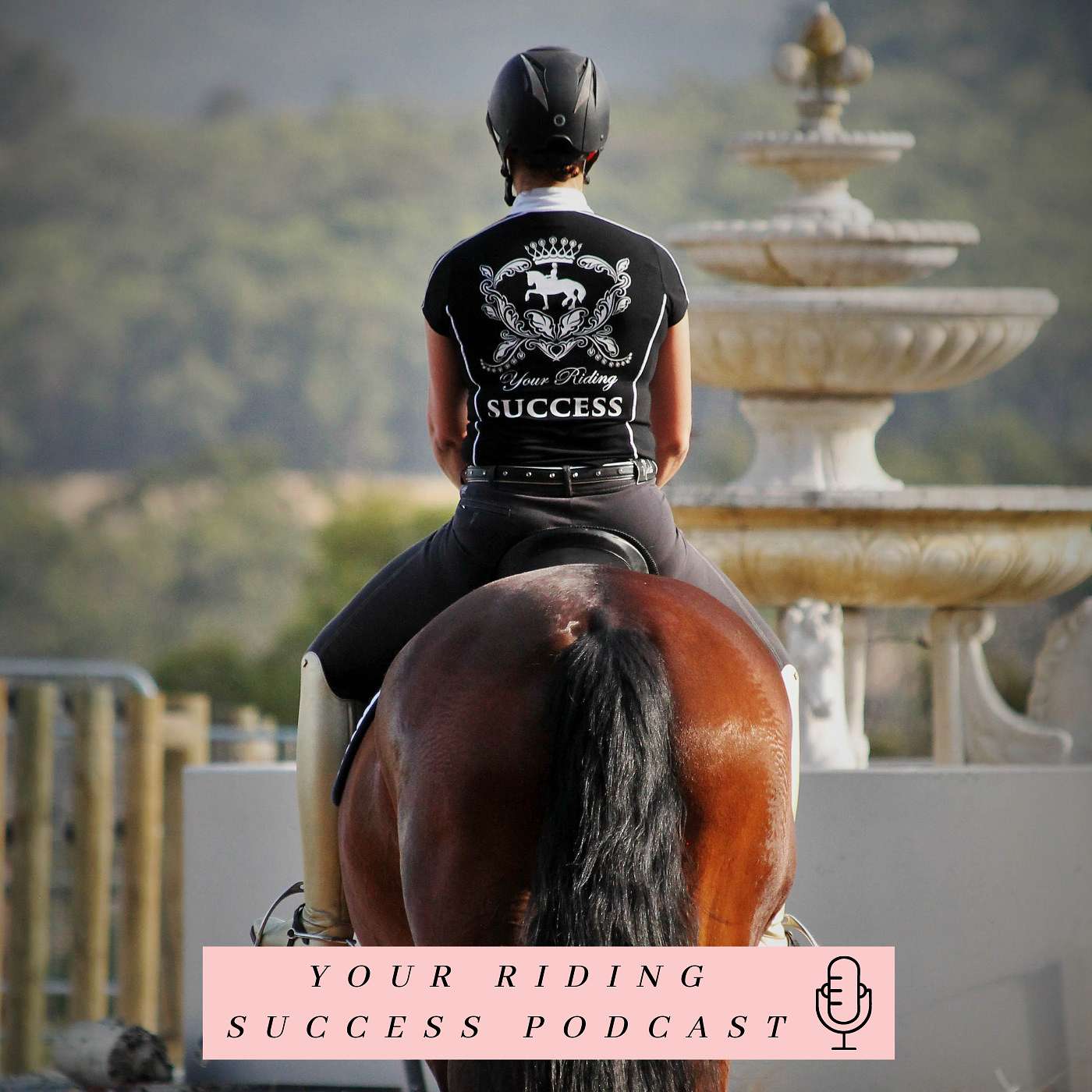 Your Riding Success!!