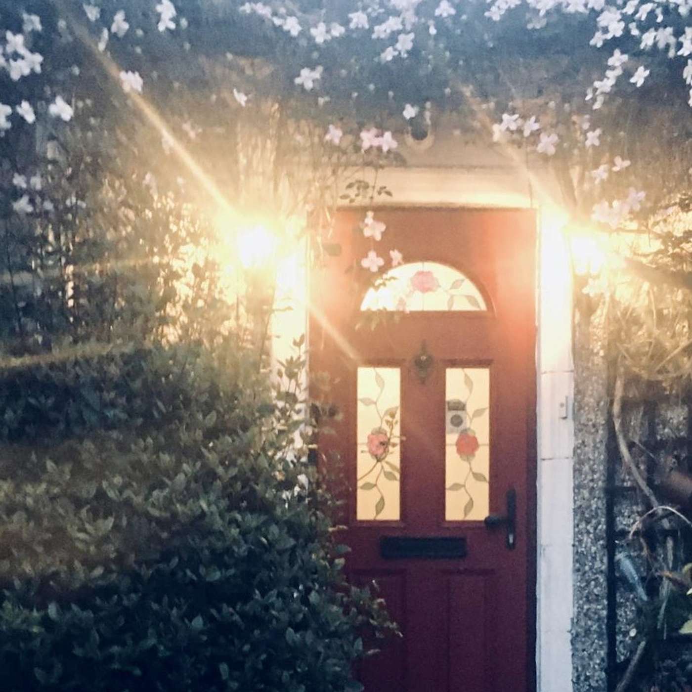 Nobody's Coming Knocking
