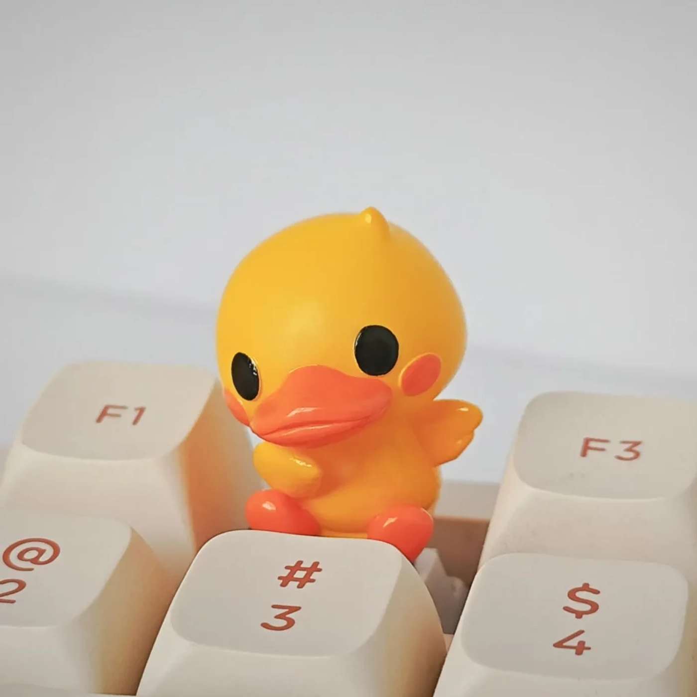 Do All Keyboards Support Custom Keycaps?