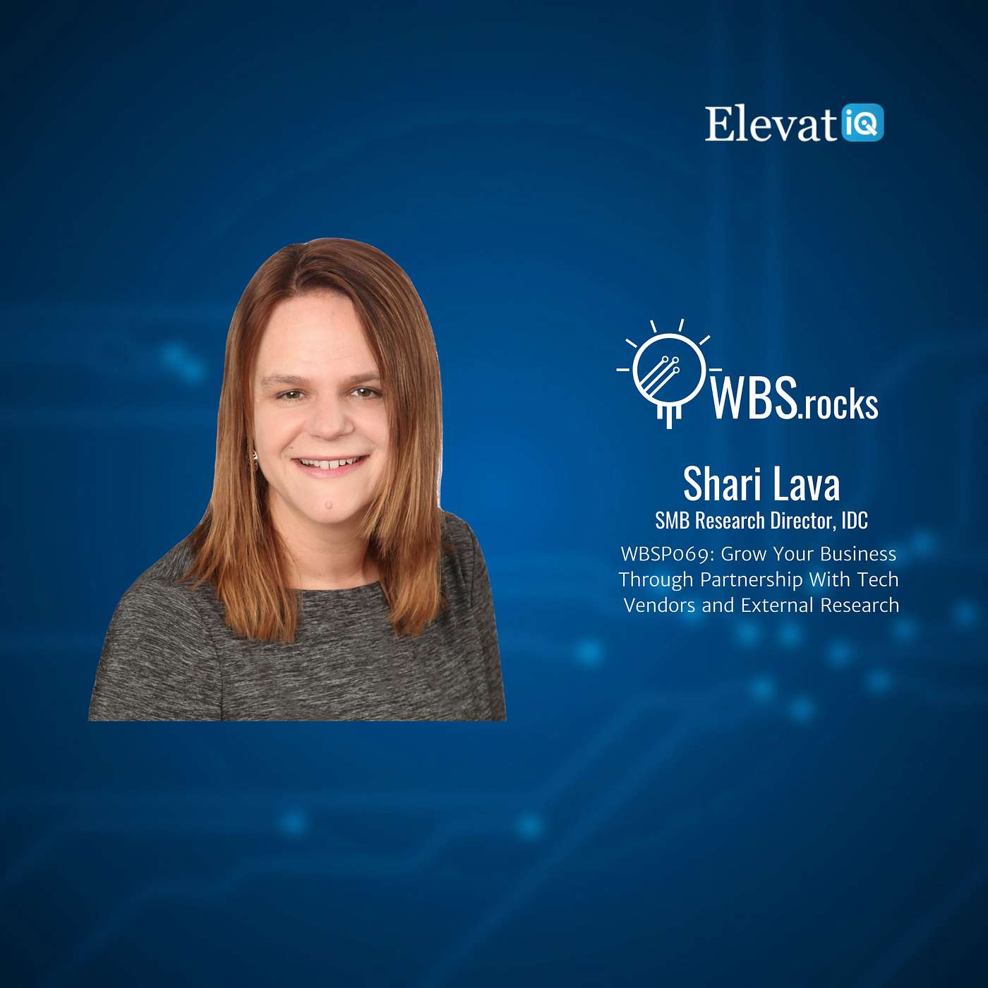 WBSP069: Grow Your Business Through Partnership With Tech Vendors and External Research w/ Shari Lava