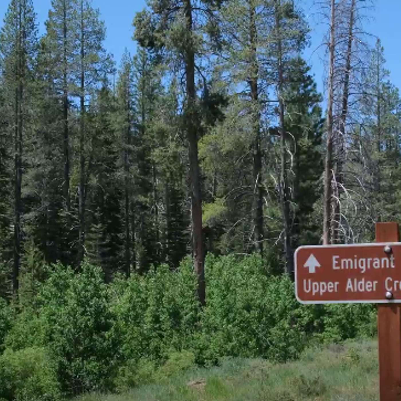 Following the Emigrant Trail through Washoe County episode artwork