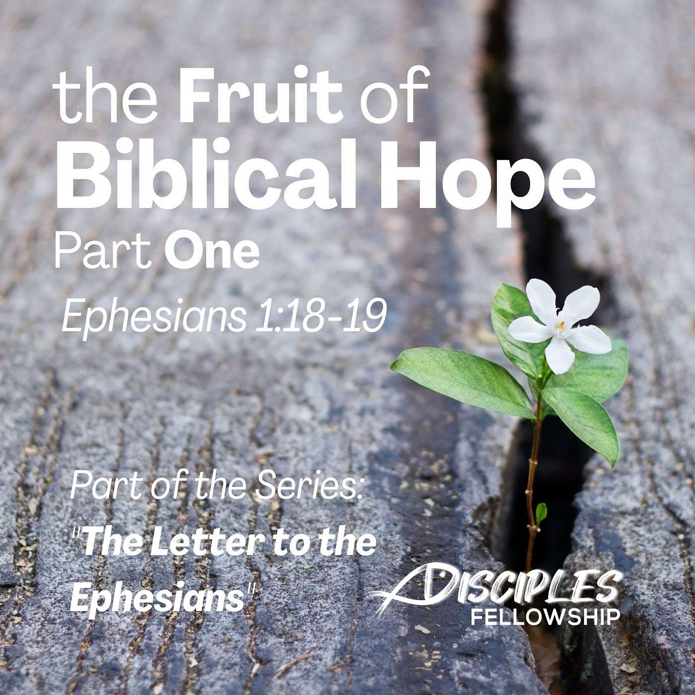 The Fruit of Biblical Hope, Part 1