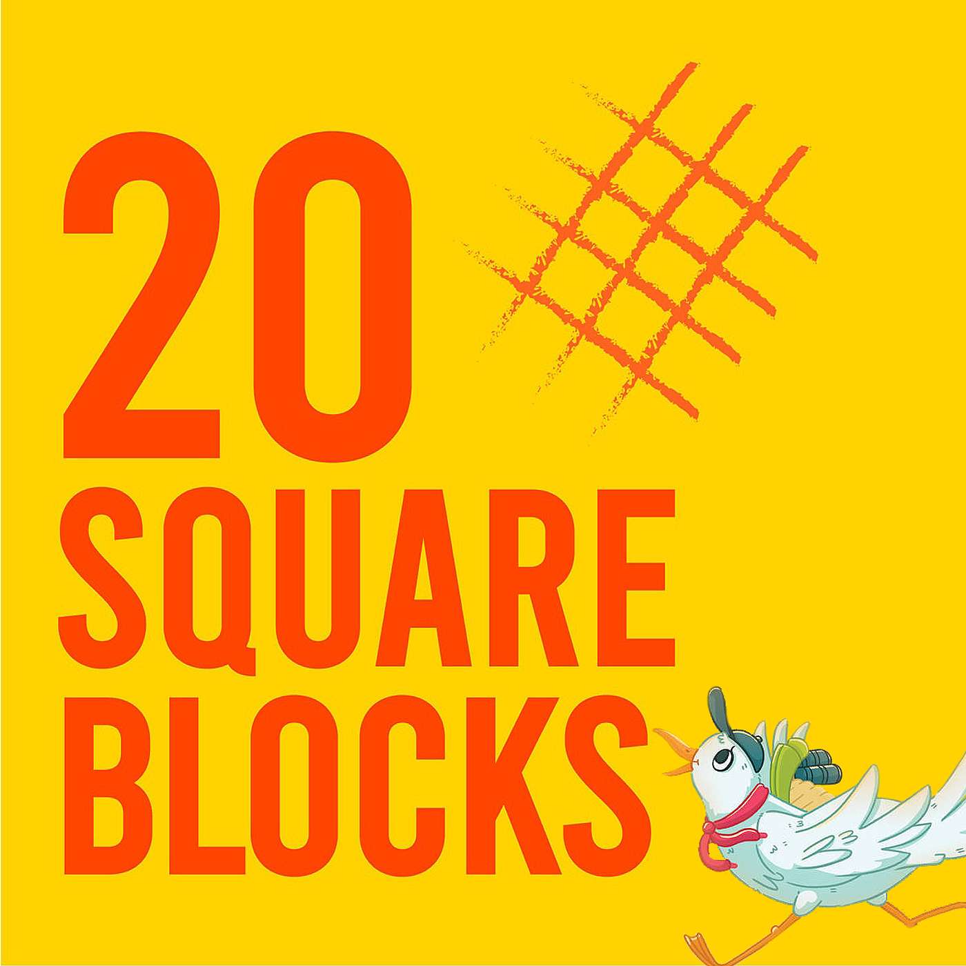 20 Square Blocks