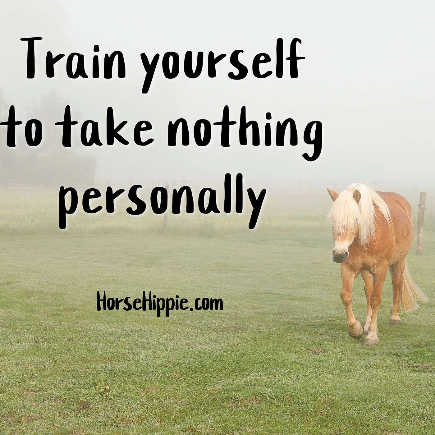 Take Nothing Personally