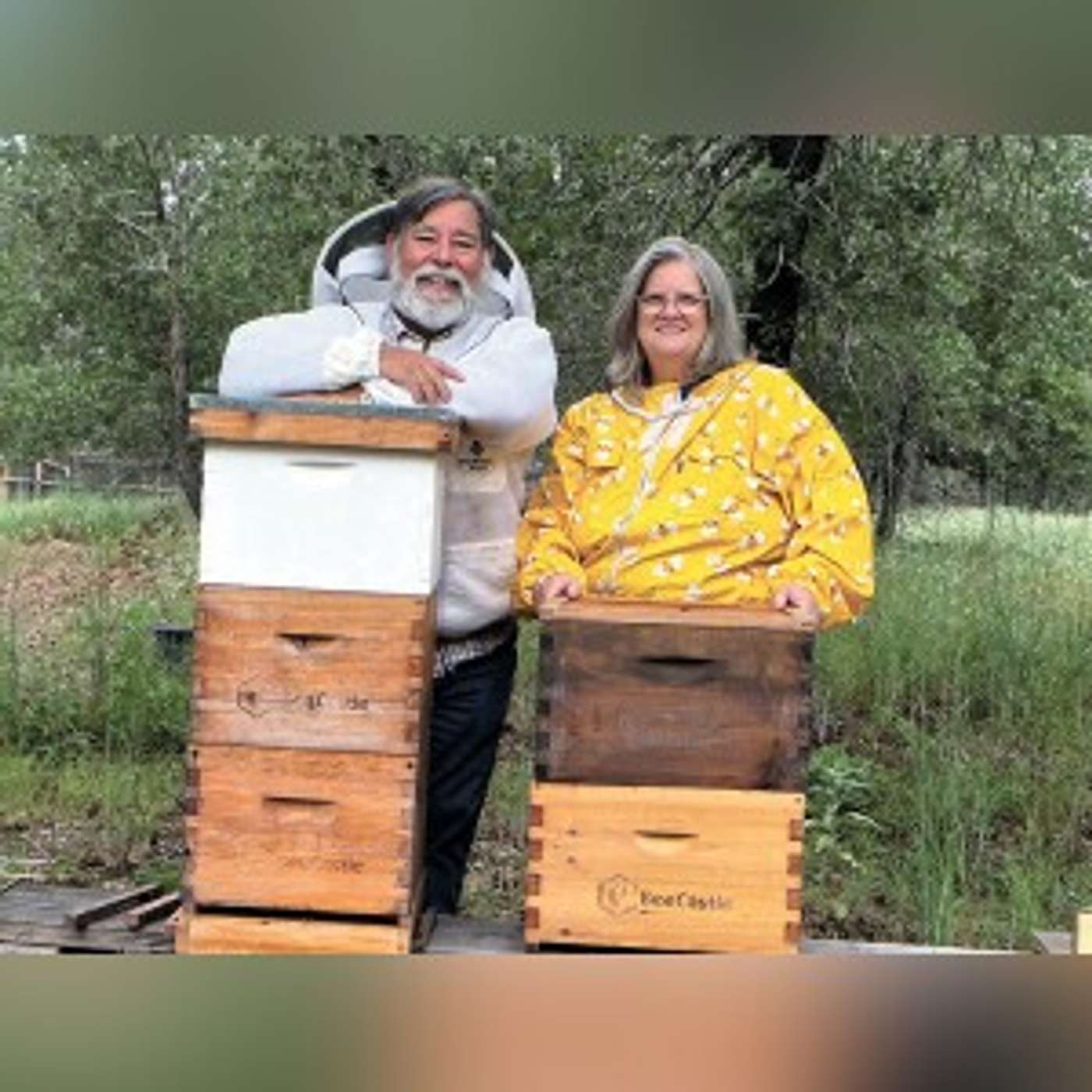 Beekeepers alarmed about TxDOT herbicide use episode artwork