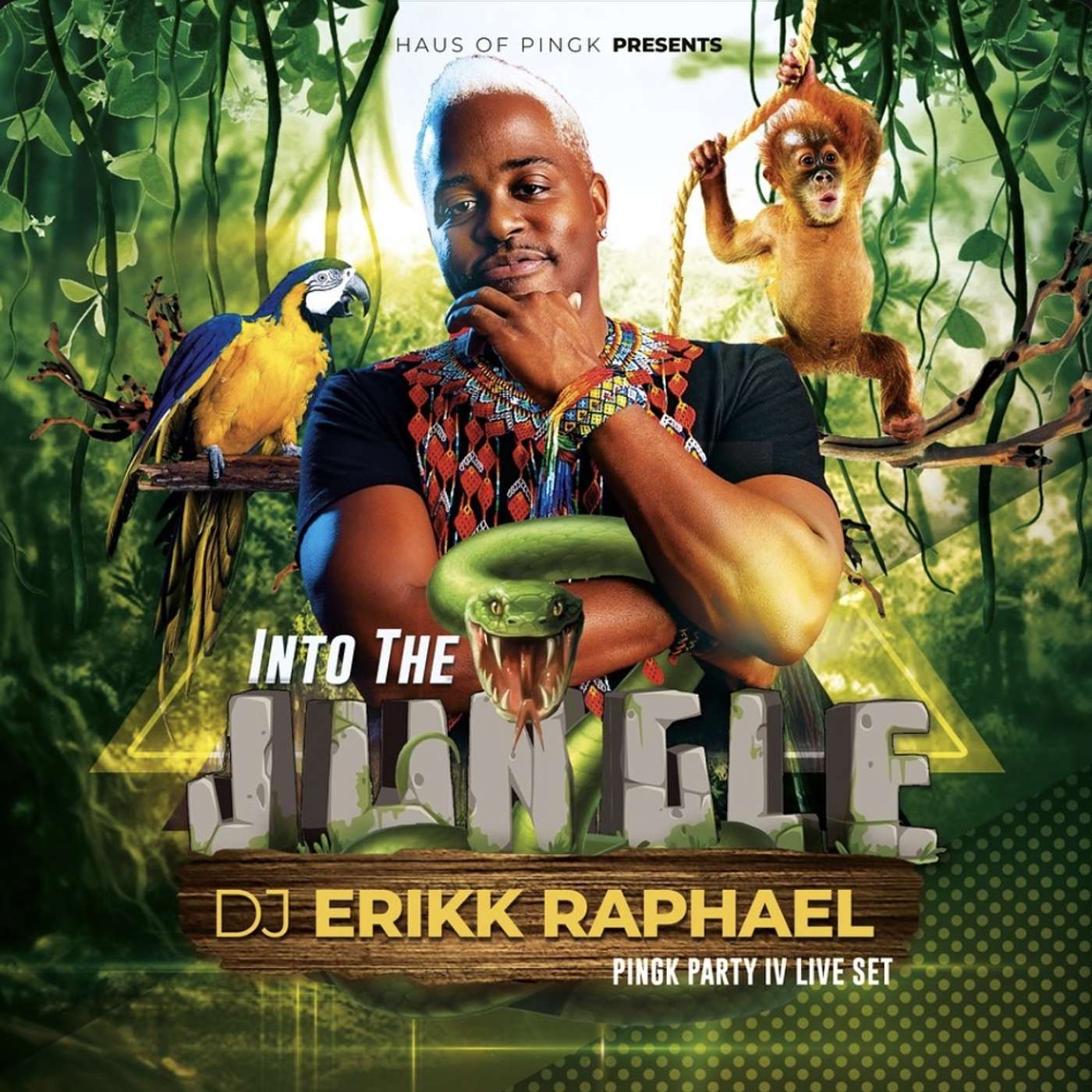 DJ Erikk Raphael : The Live Sessions