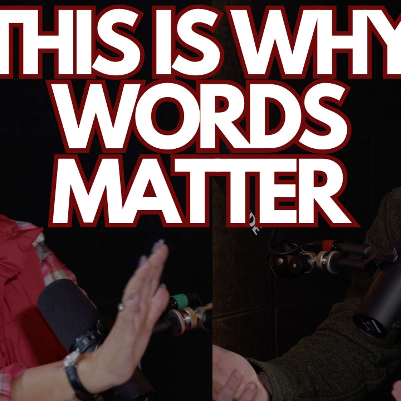 The Power of Words in a Blended Family (This Changes Everything) episode artwork