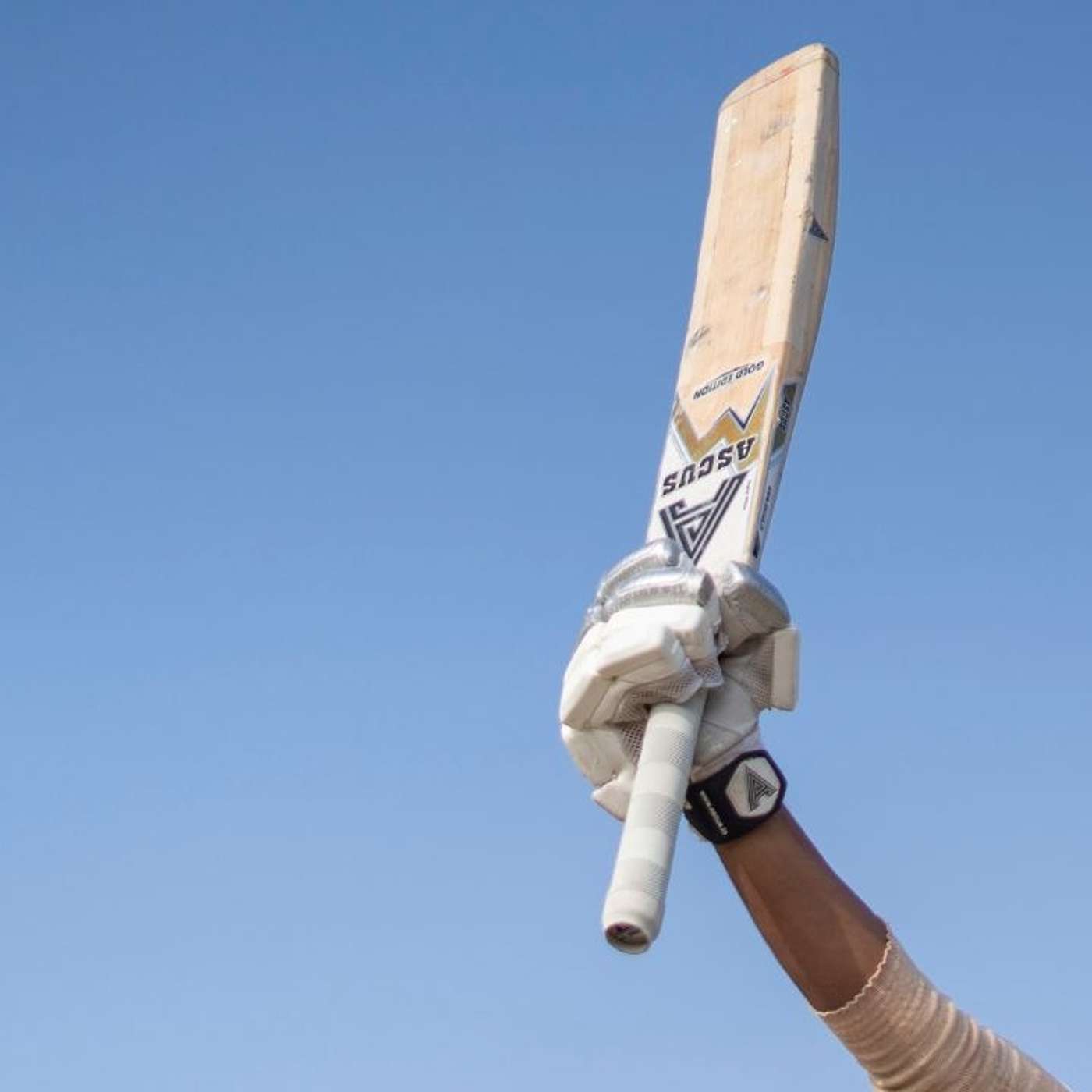 Discover the Spirit of Dubai Cricket Club and Its Rising Stars!