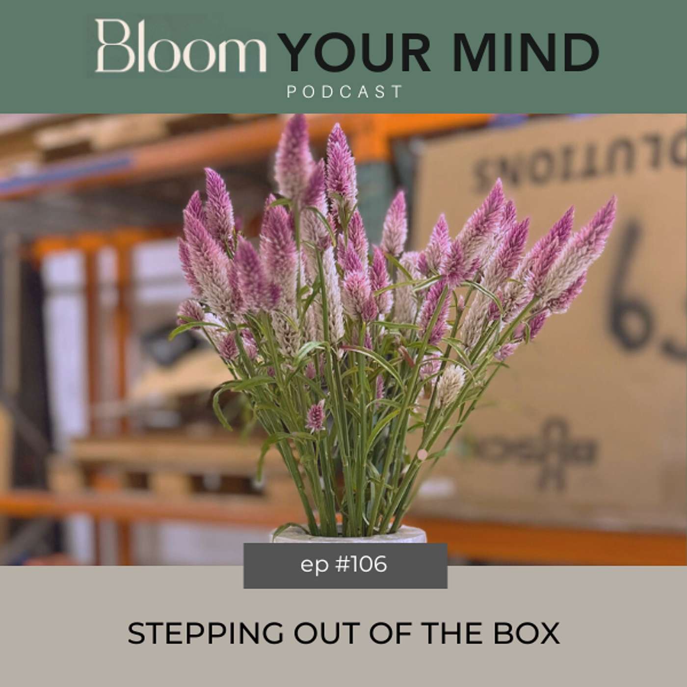 Ep 106: Stepping Out of the Box