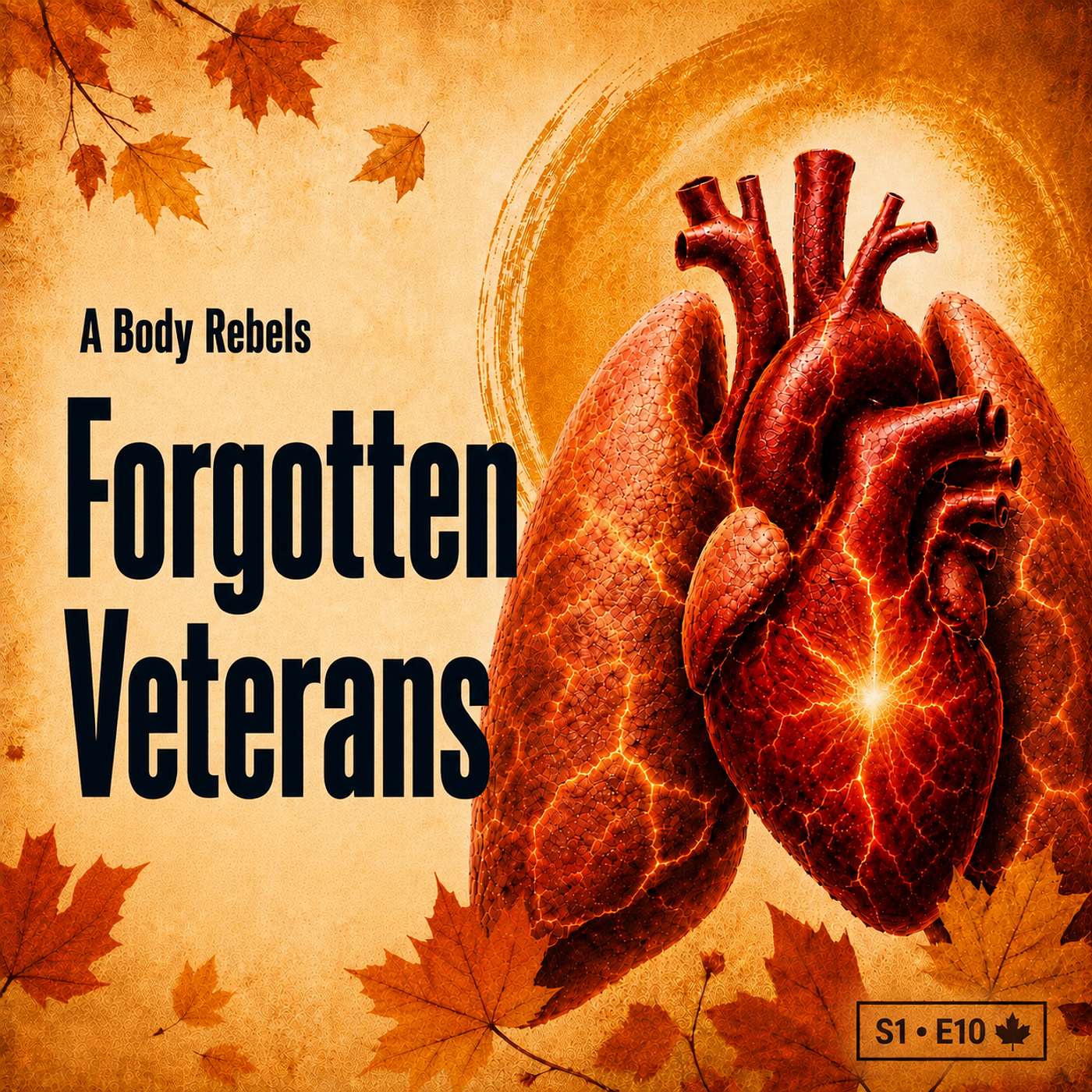The War After the War: A Chef’s Salute to Veterans, Especially the Forgotten Ones. episode artwork