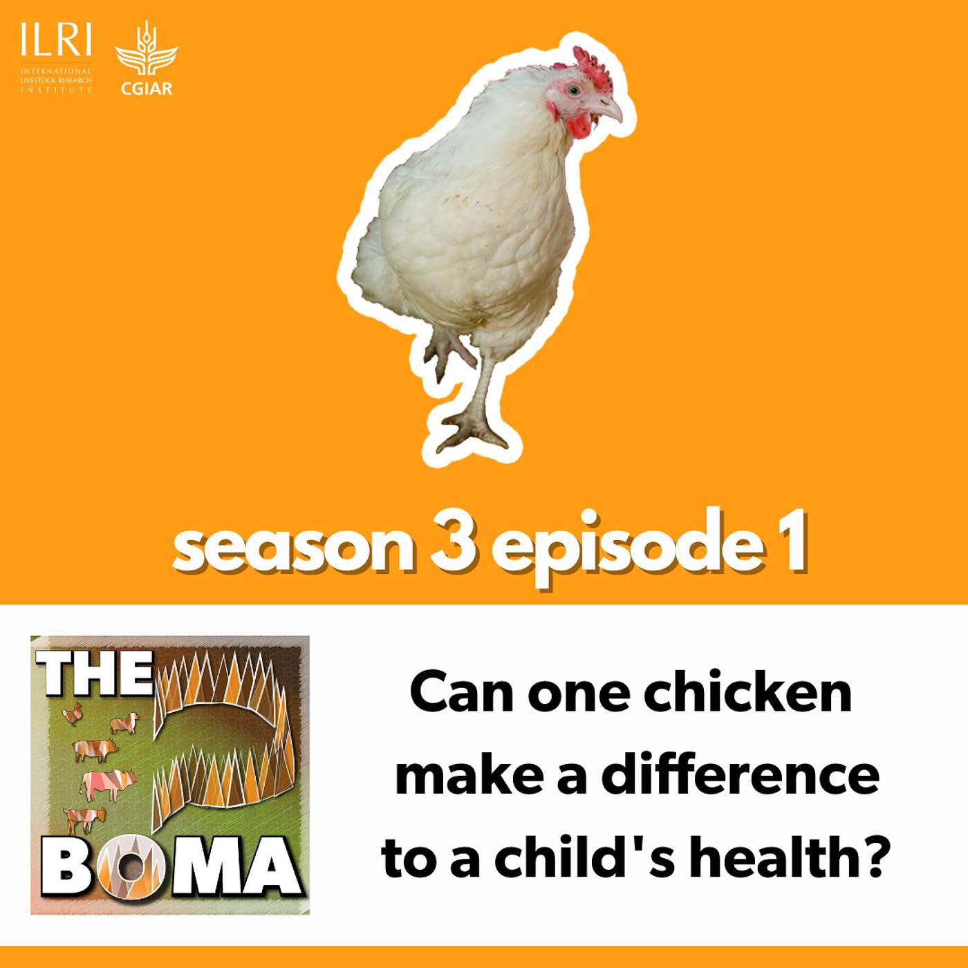 Can one chicken make a difference to a child's health?