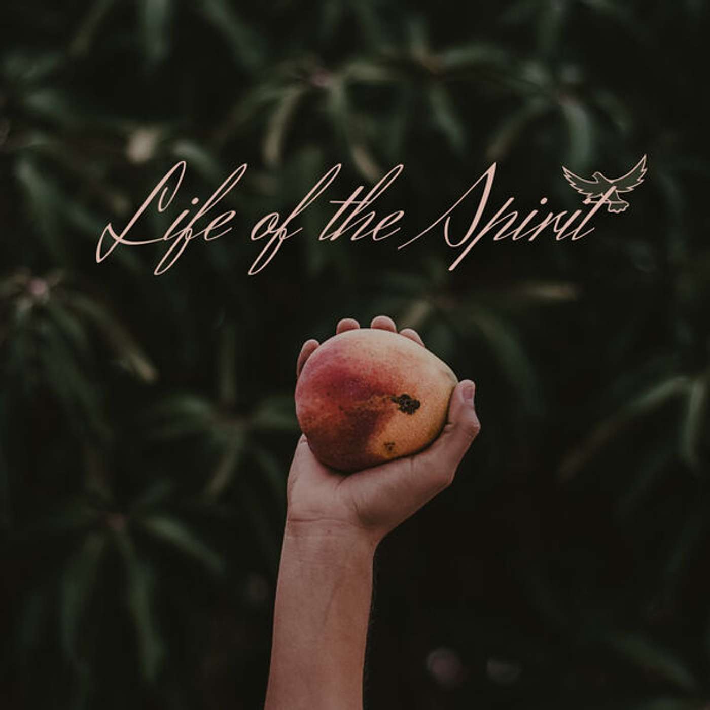 Transformed by the Spirit: Organic Growth