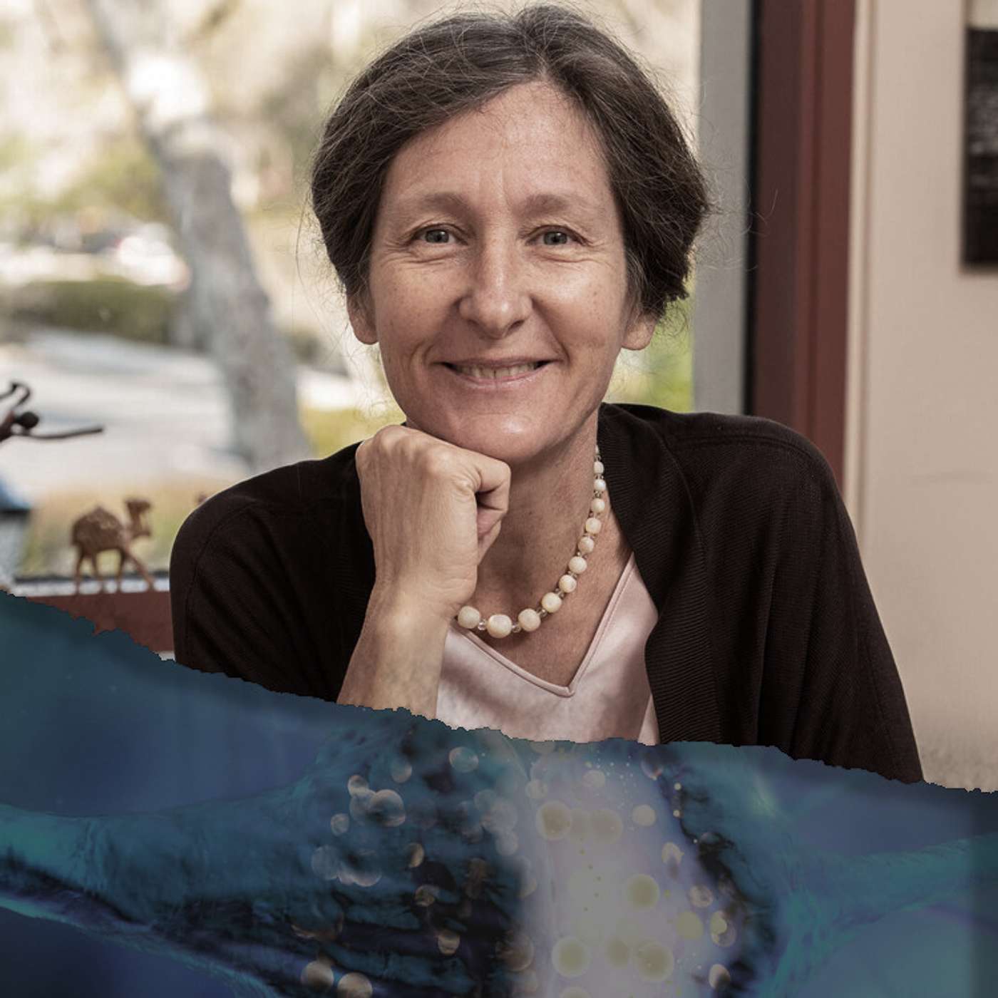 Dopamine Nation - Dr. Anna Lembke