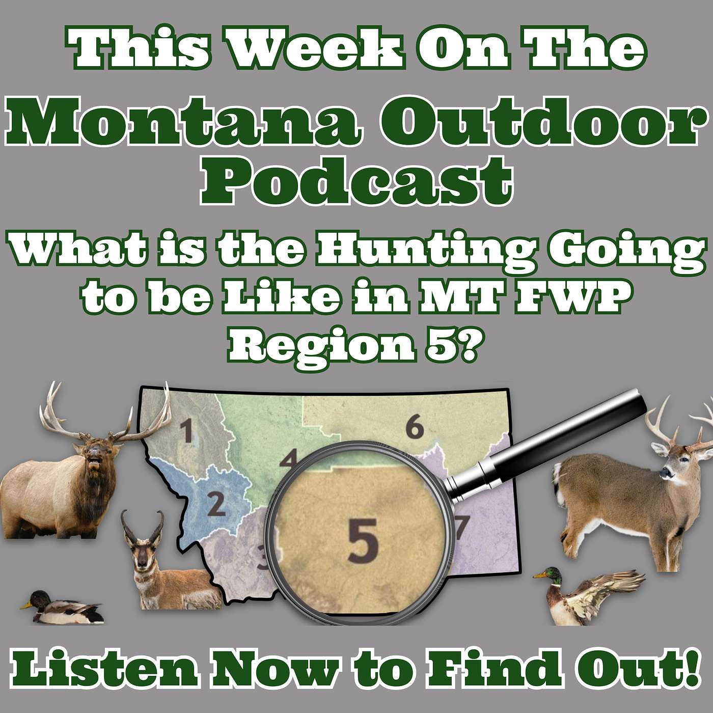 What is the Hunting going to be Like in Montana Region 5? This Podcast Has All the Answers For You!