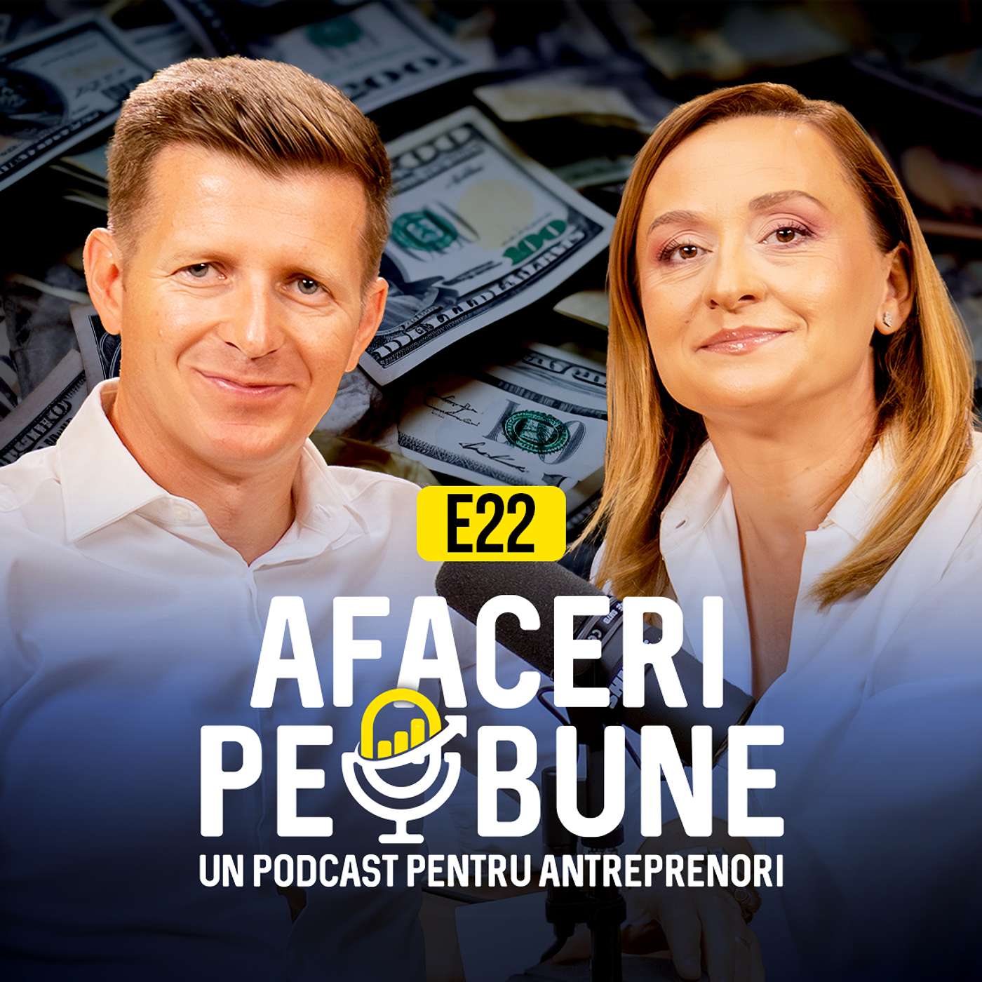 În timp ce alții renunță după 3 ani, Roxana Mircea a atins primul milion după 10. Podcast ApB În timp ce alții renunță după 3 ani, Roxana Mircea a atins primul milion după 10. Podcast ApB