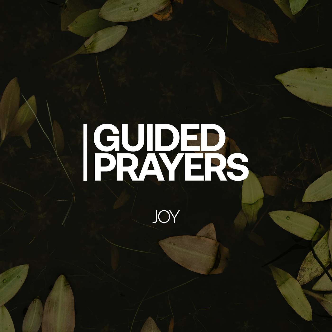 When You Need Joy Most | Guided Prayers episode artwork