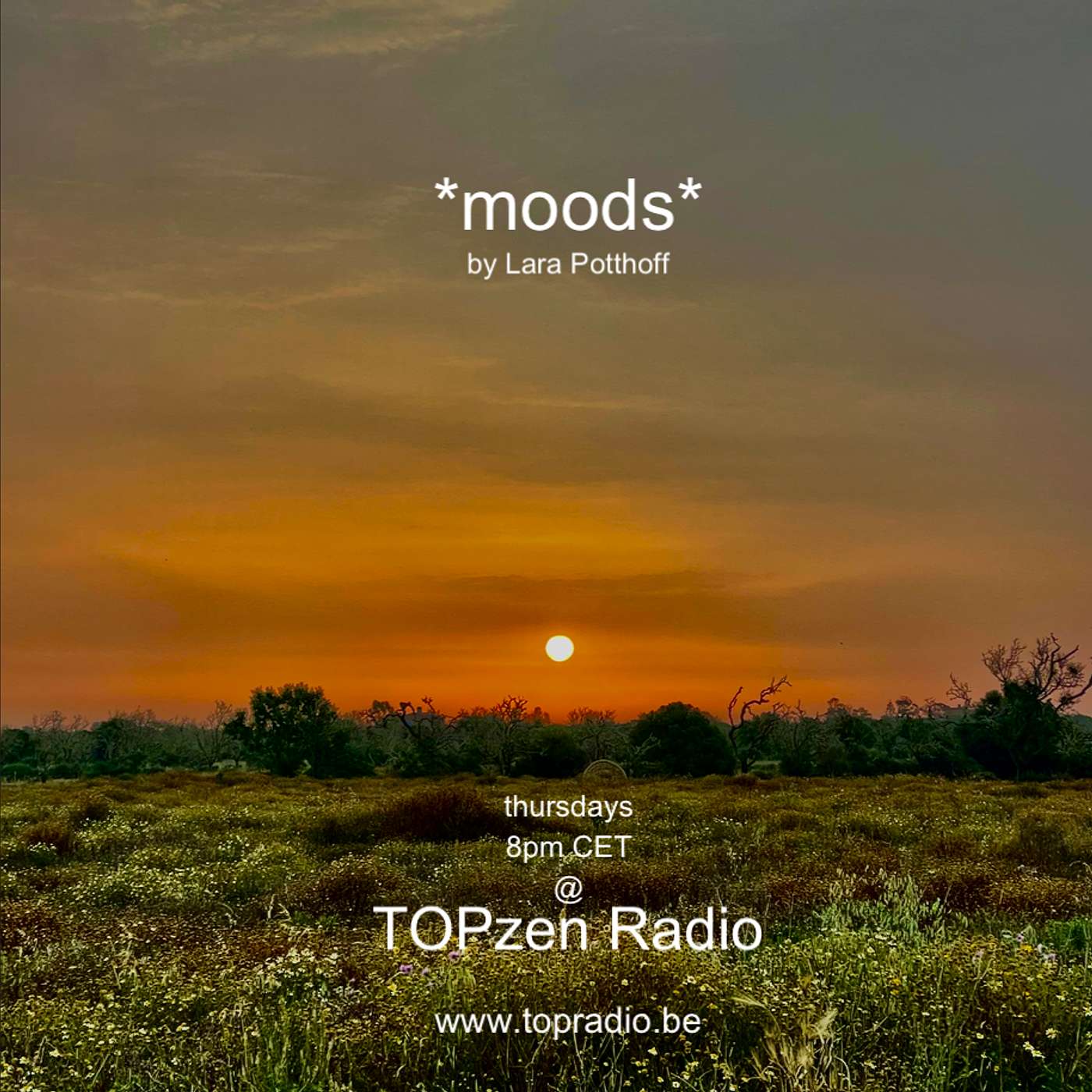 Moods by Lara Potthoff