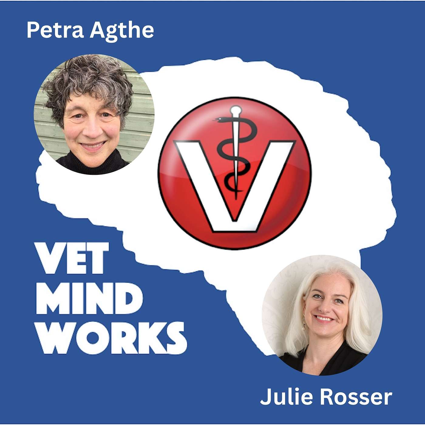 Vet Mind Works Podcast